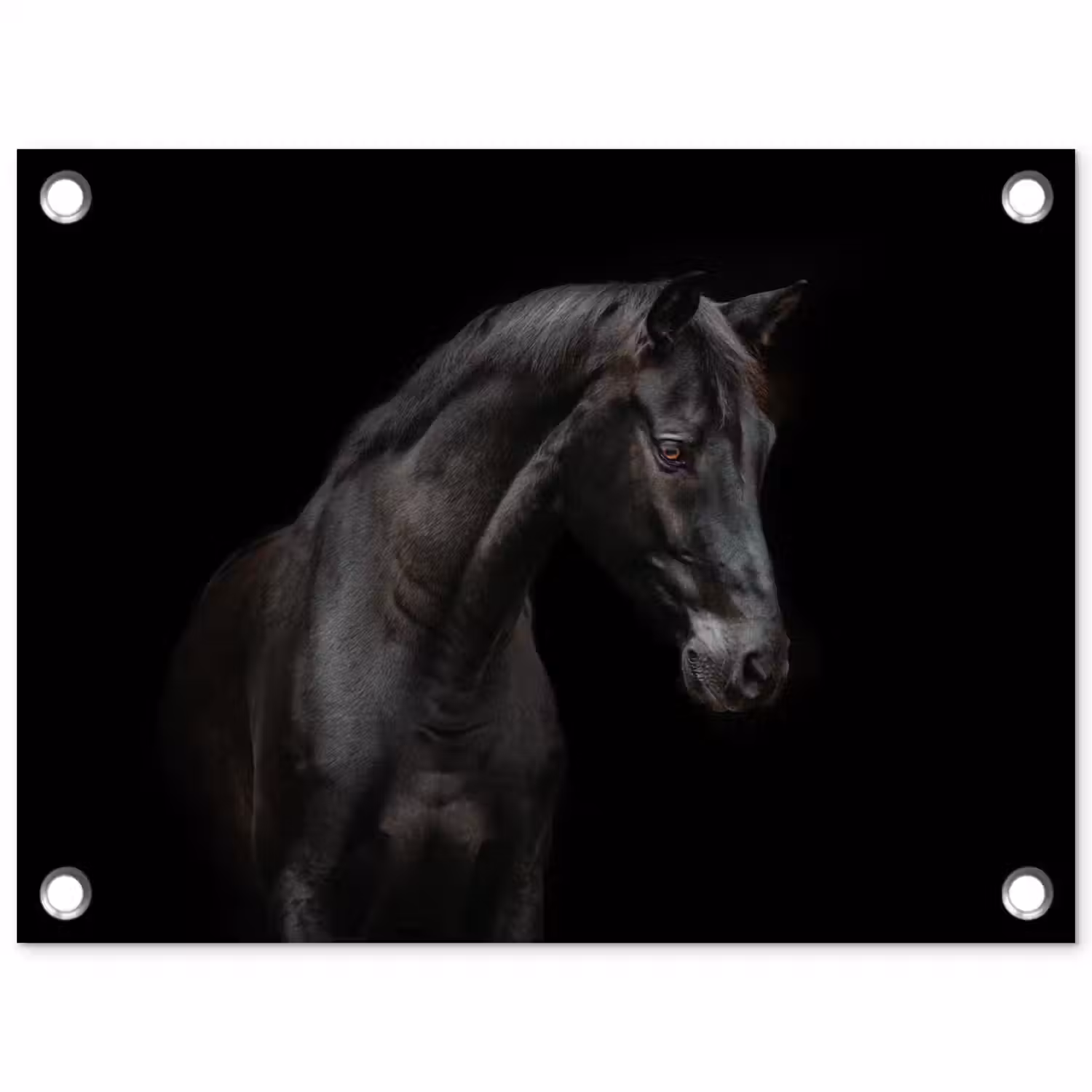 Paard - Dieren - Zwart - Portret tuinposter los doek klein -3d