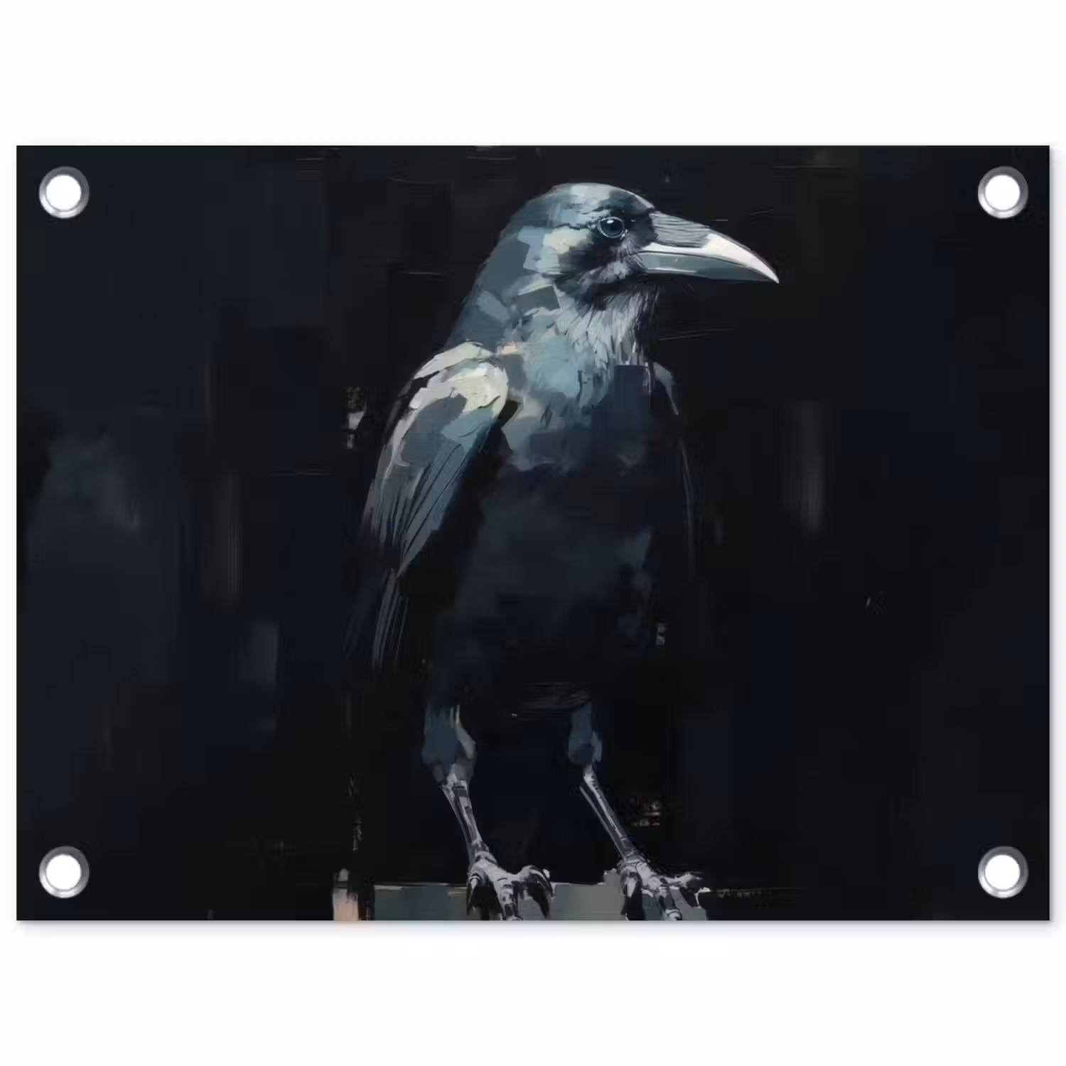 Raaf - Vogels - Zwart tuinposter los doek klein -3d