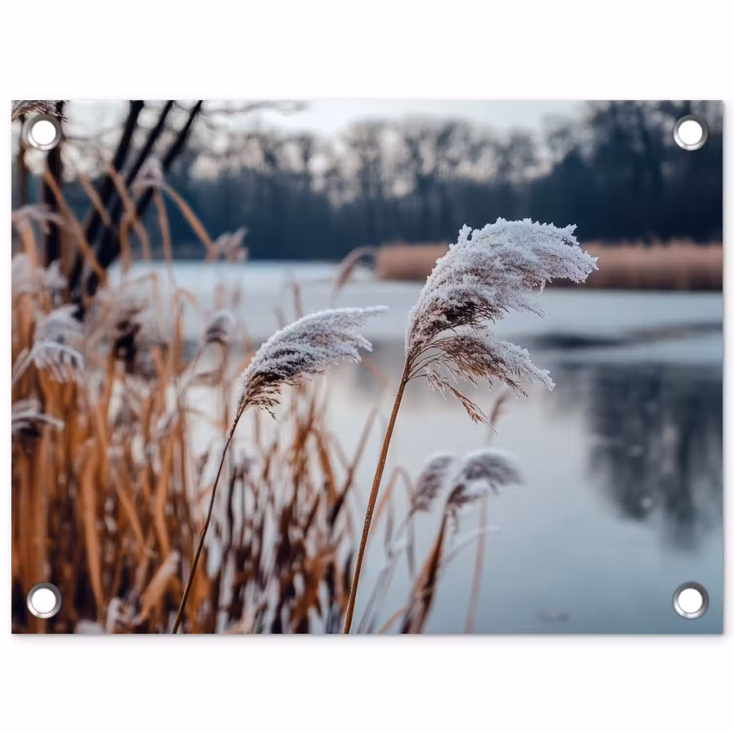 Riet - Gras - Natuur - Winter - Meer tuinposter los doek klein -3d