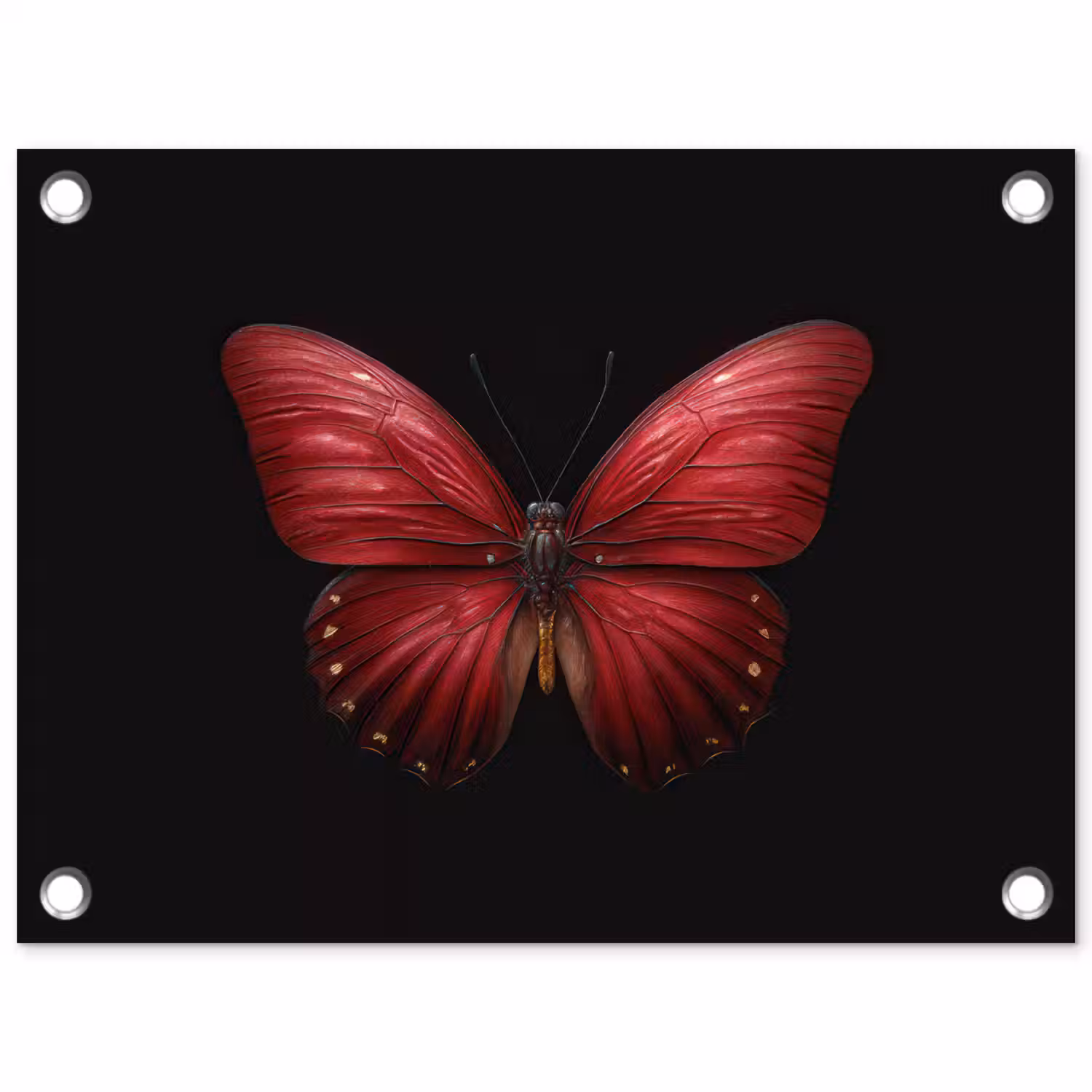 Vlinder - Rood - Minimalistisch tuinposter los doek klein -3d