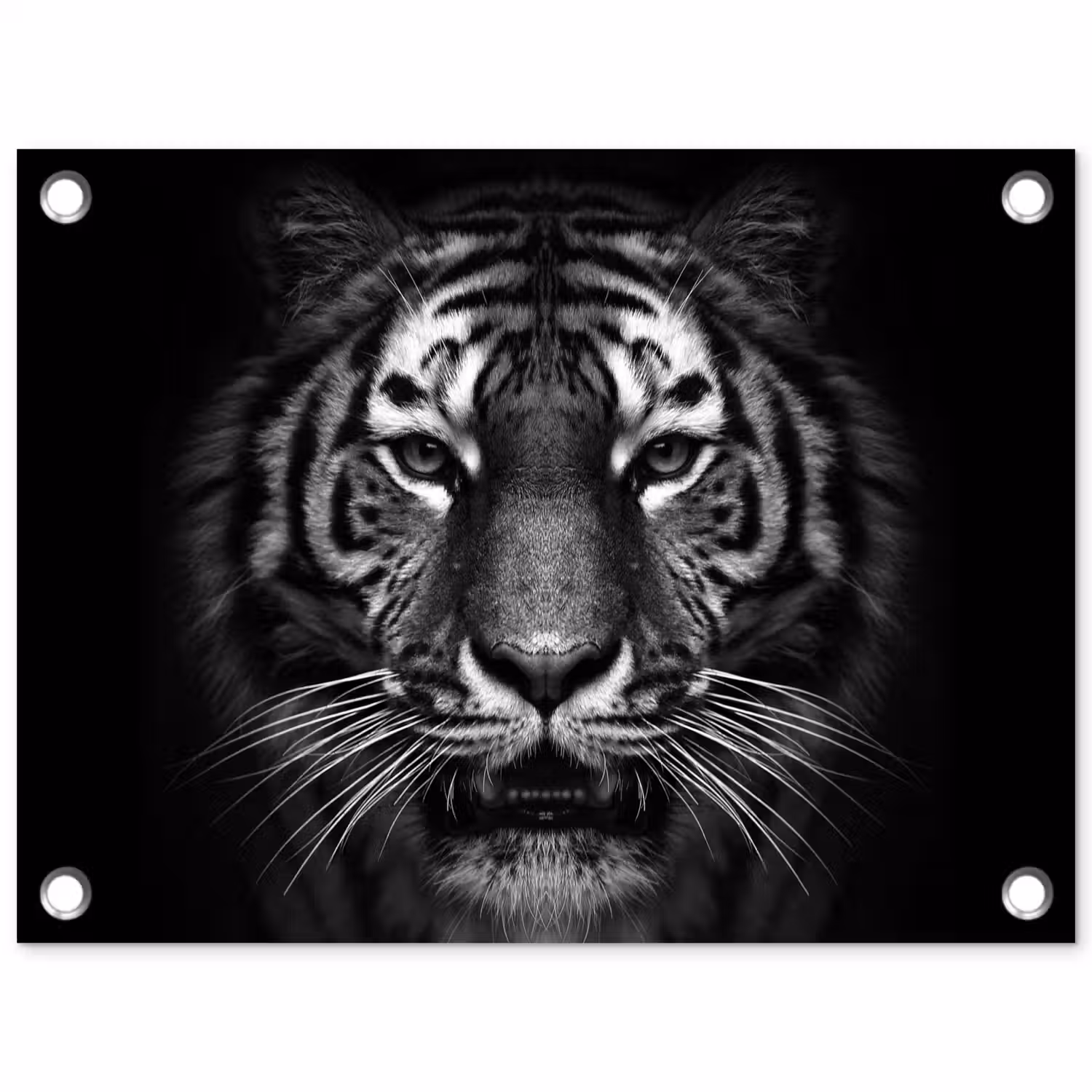Tijger in het zwart-wit tuinposter los doek klein -3d