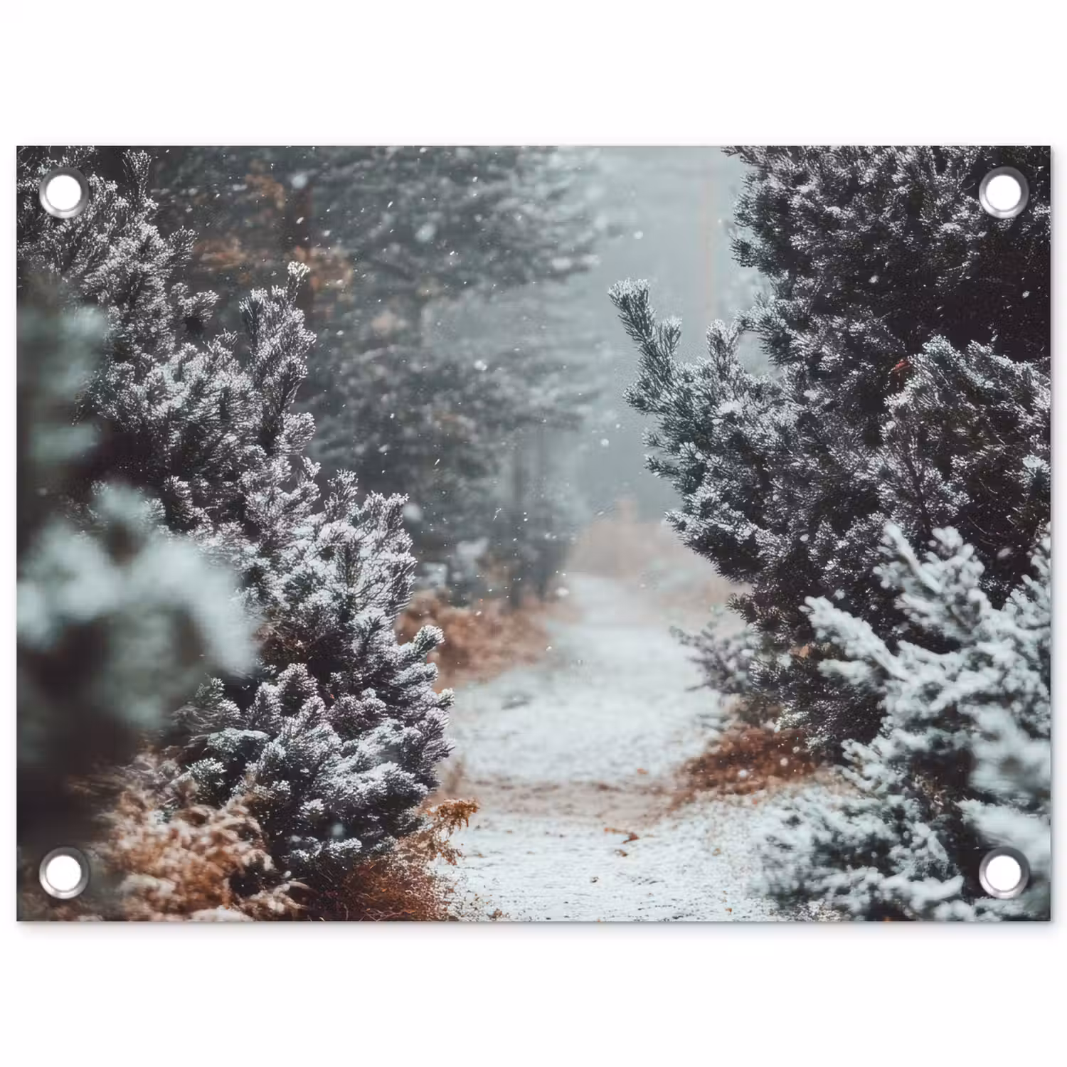Bos - Winter - Bomen - Natuur - Pad - Sneeuw tuinposter los doek klein -3d