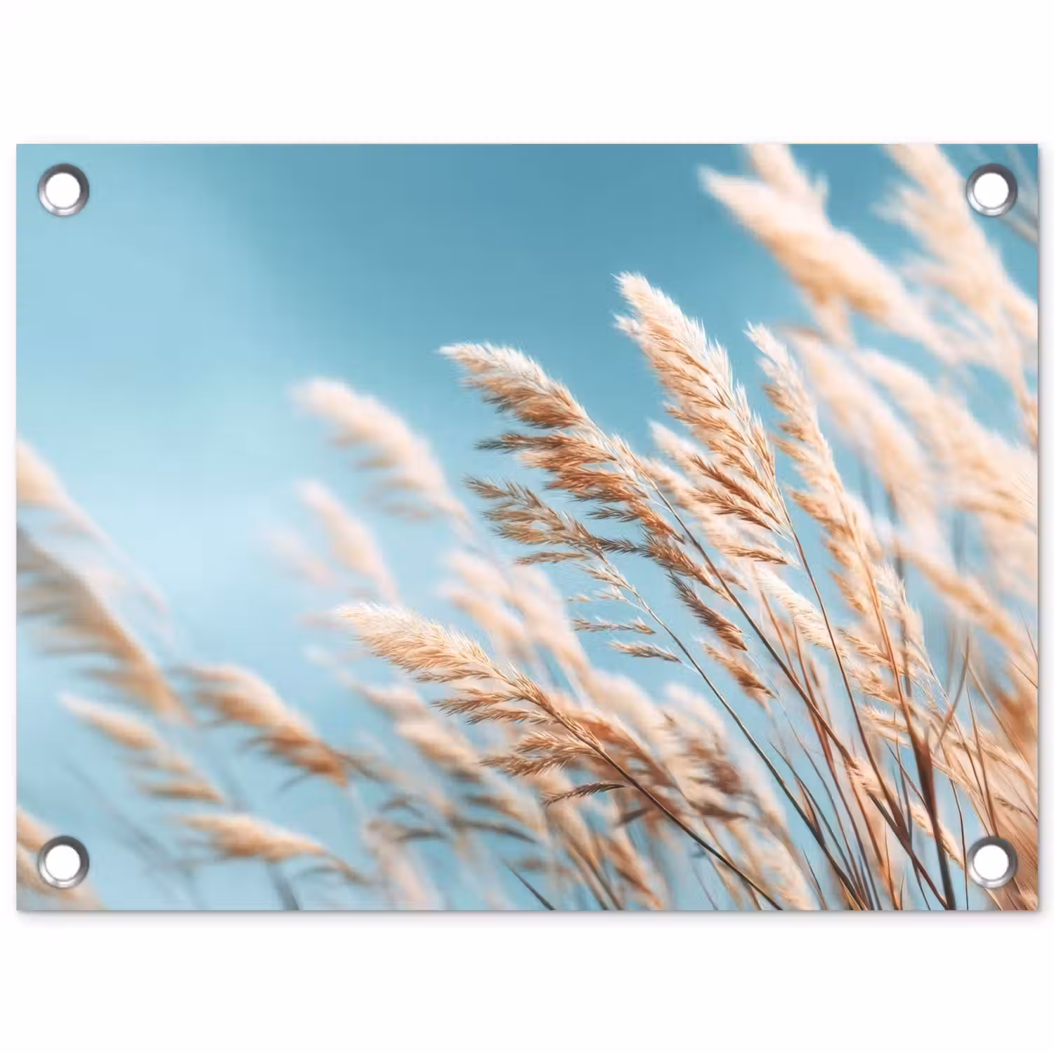 Siergras - Wind - Lichtbruin tuinposter los doek klein -3d