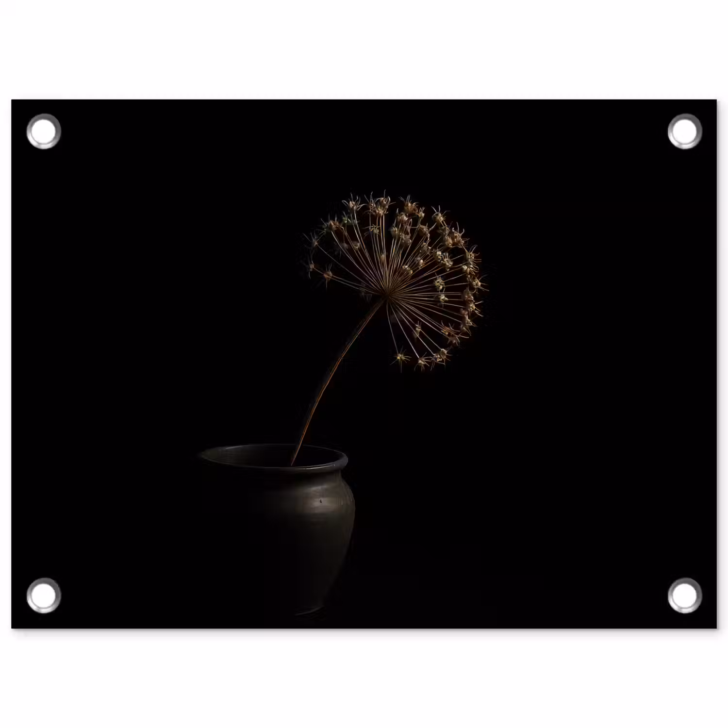 Bol - Gedroogd - Vaas - Zwart tuinposter los doek klein -3d