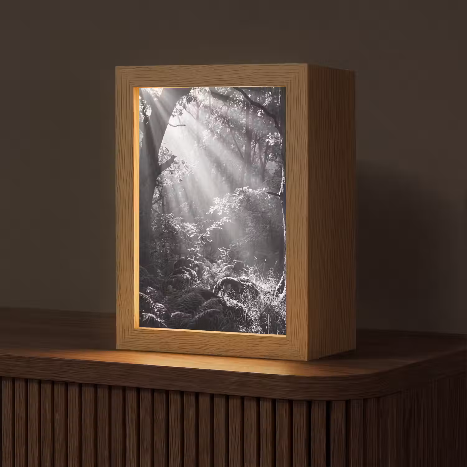 Bos - Lichtstralen - Natuur - Zwart-wit Light Box met kabel (Tafellamp) klein -z3d_website
