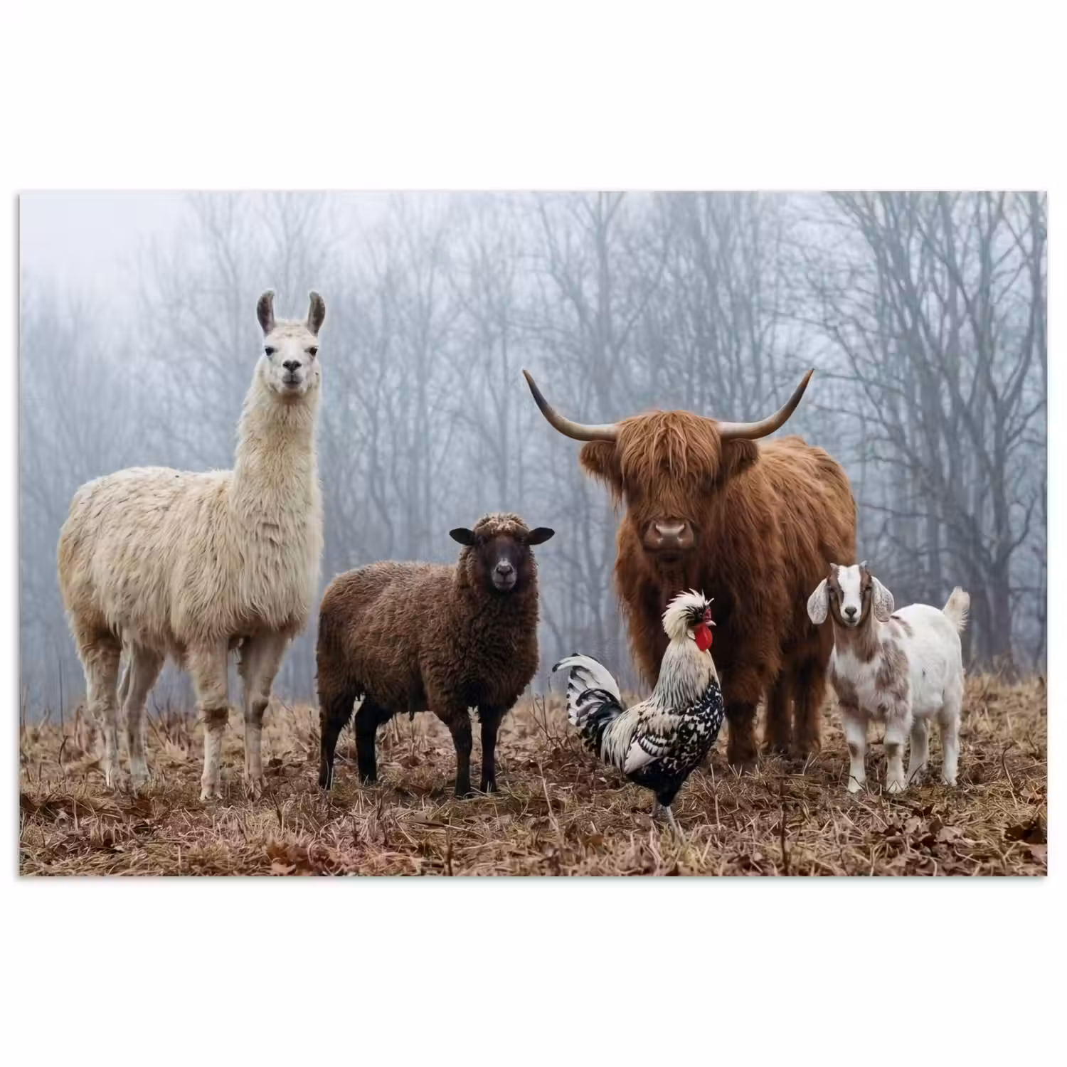 Boerderijdieren - Groep - Mist - Natuur - Rustiek poster papier klein -3d