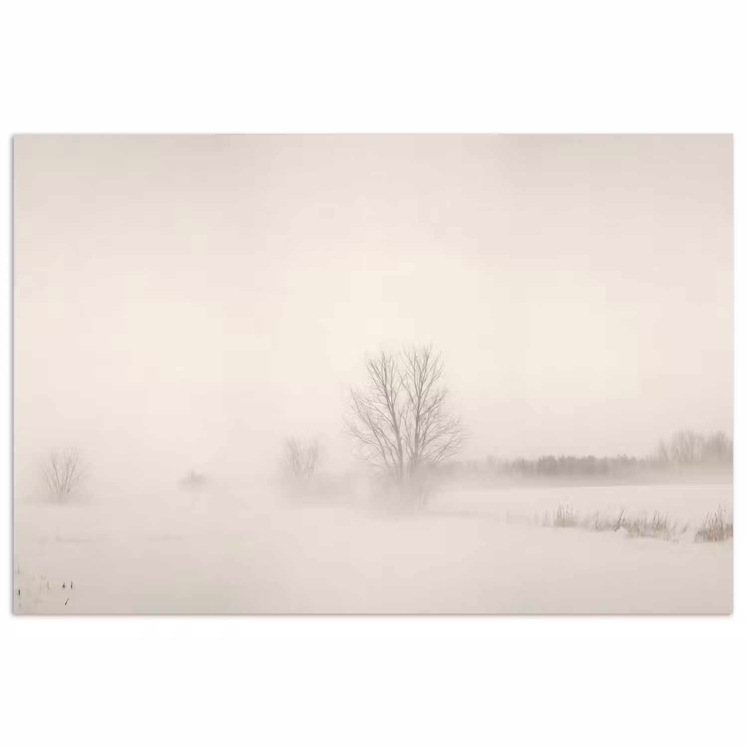 Boom - Mist - Sneeuw - Winter - Minimalistisch poster papier klein -3d