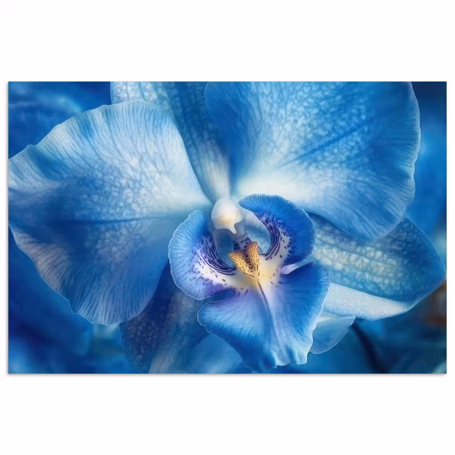 Blauw - Orchidee - Elegeant poster papier klein -3d