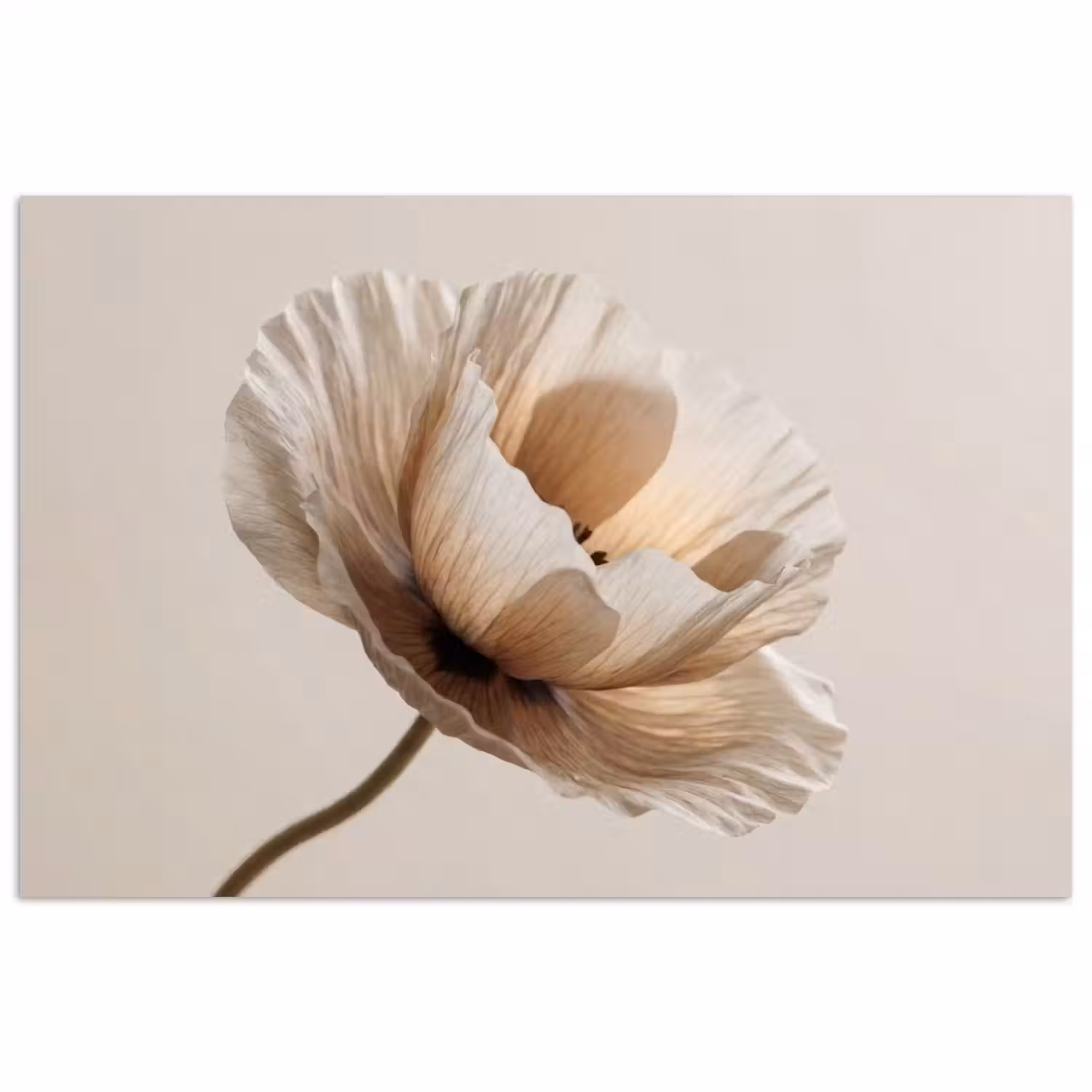 Bloem - Beige - Crème poster papier klein -3d