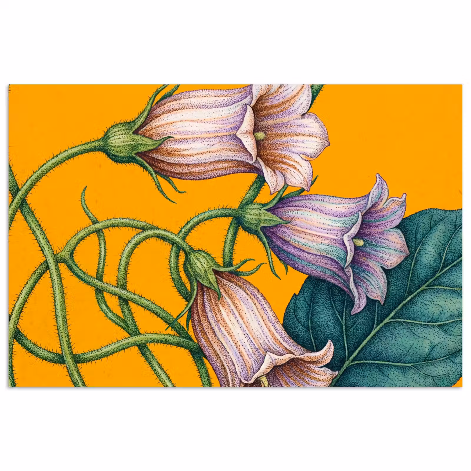 Poster - Blumen – Botanik – Gelb - Bloemen - Botanisch - Geel poster papier klein