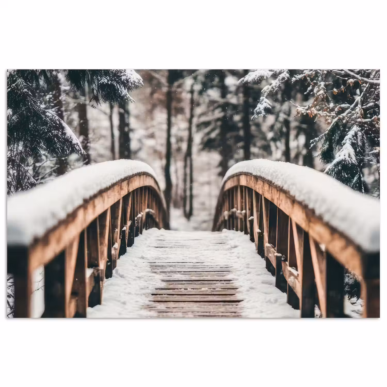 Brug - Winterlandschap - Bos - Natuur - Sneeuw poster papier klein -3d