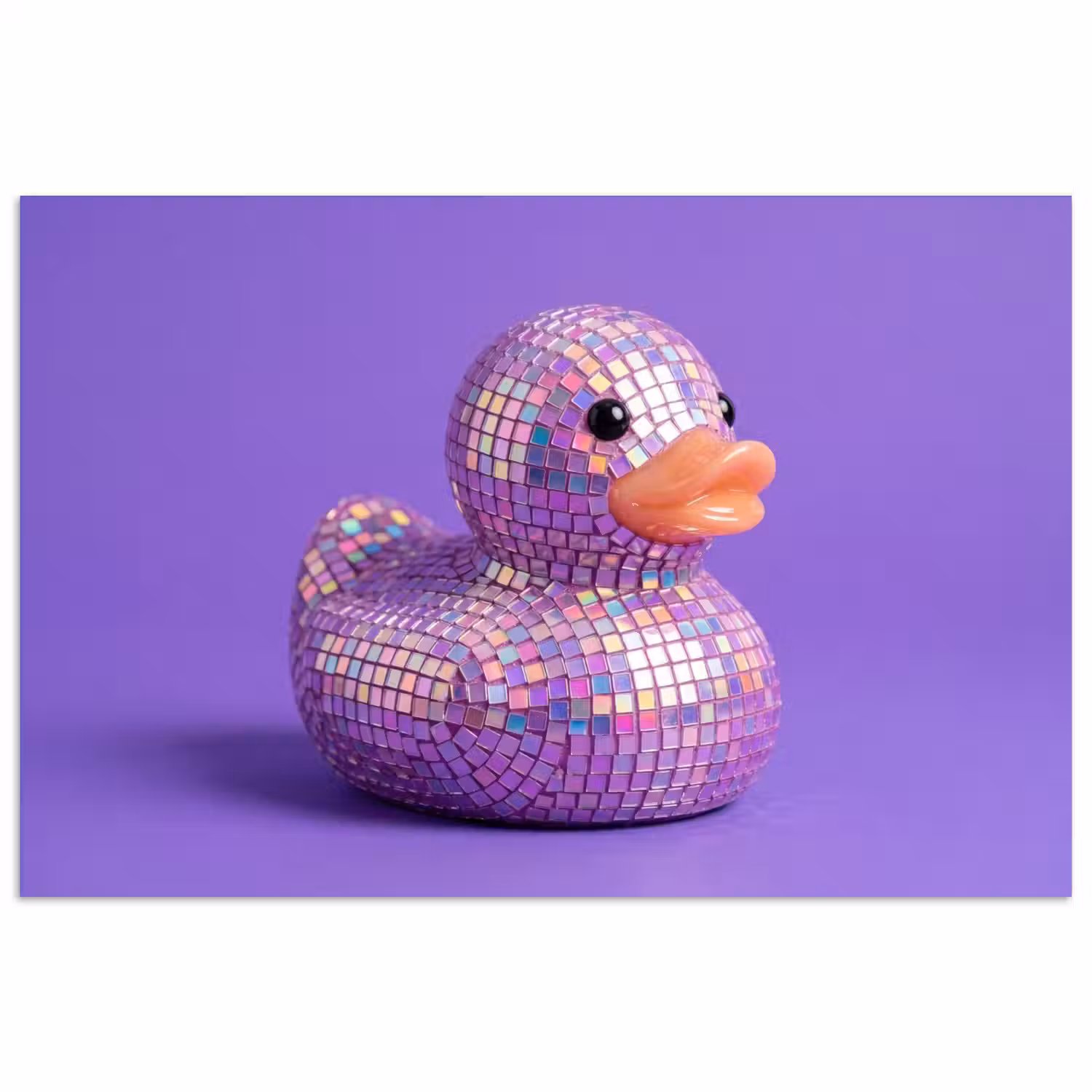 Disco - Eend - Paars poster papier klein -3d
