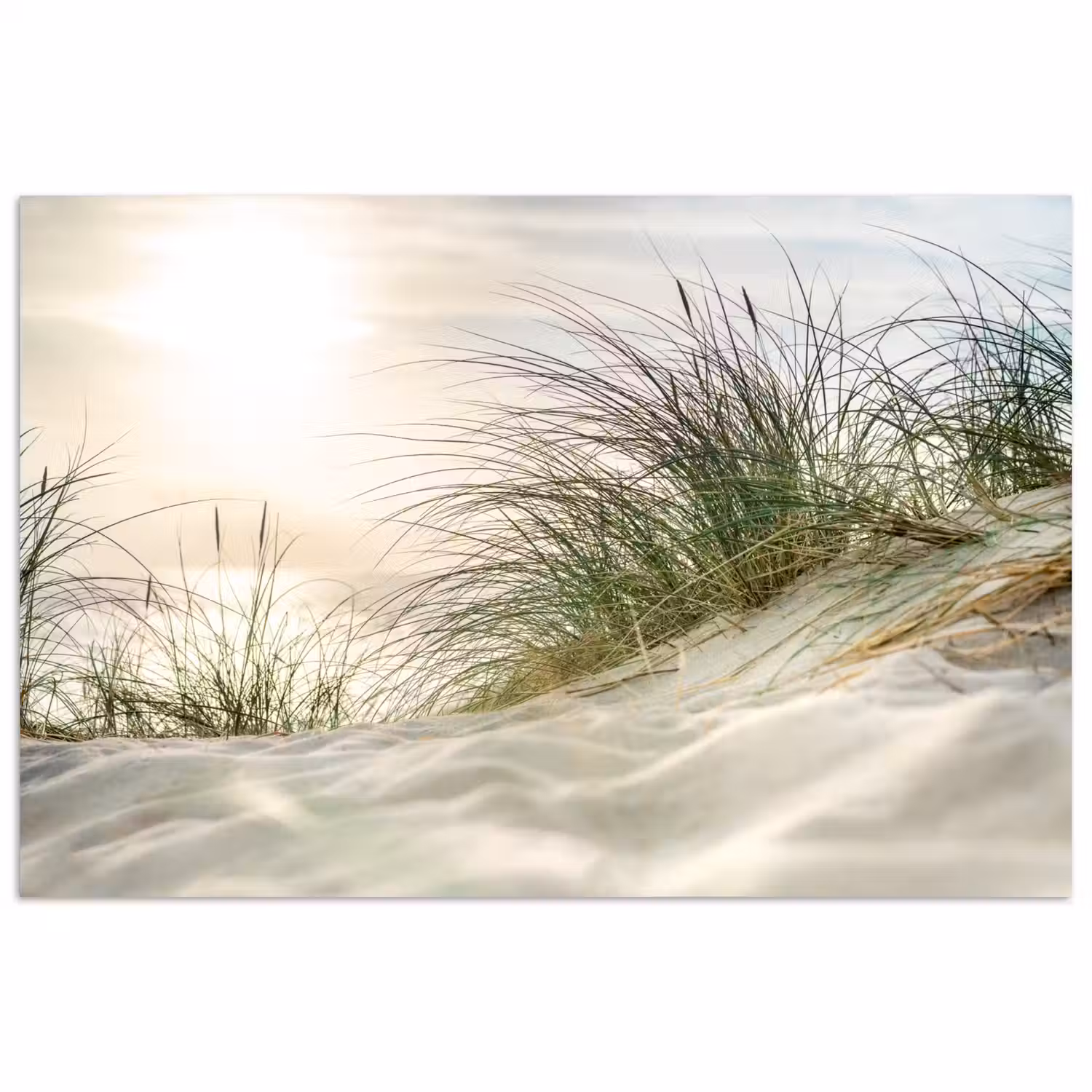 Duin - Waddeneilanden - Water poster papier klein -3d