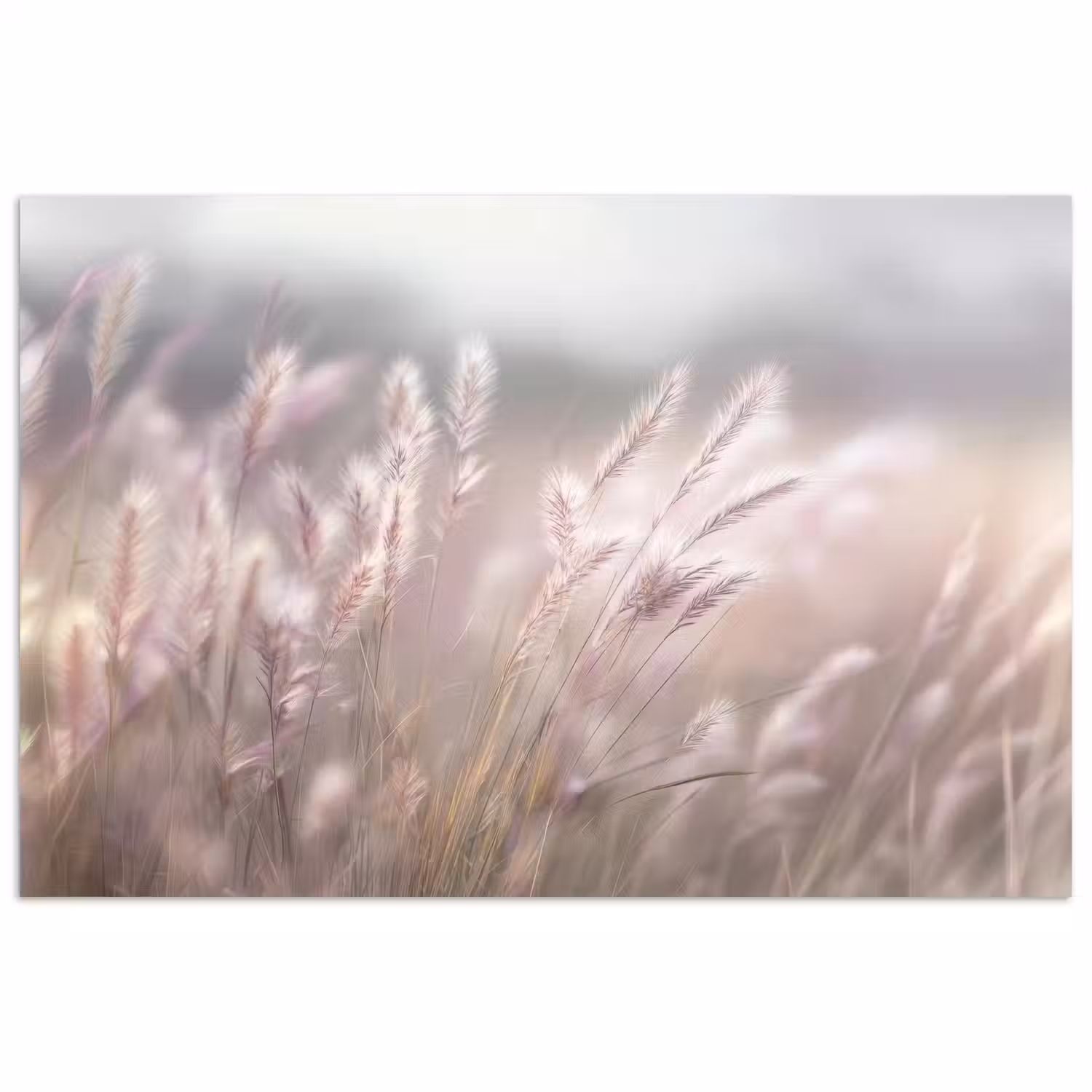 Graspluimen - Wind - Beige - Mistig poster papier klein -3d