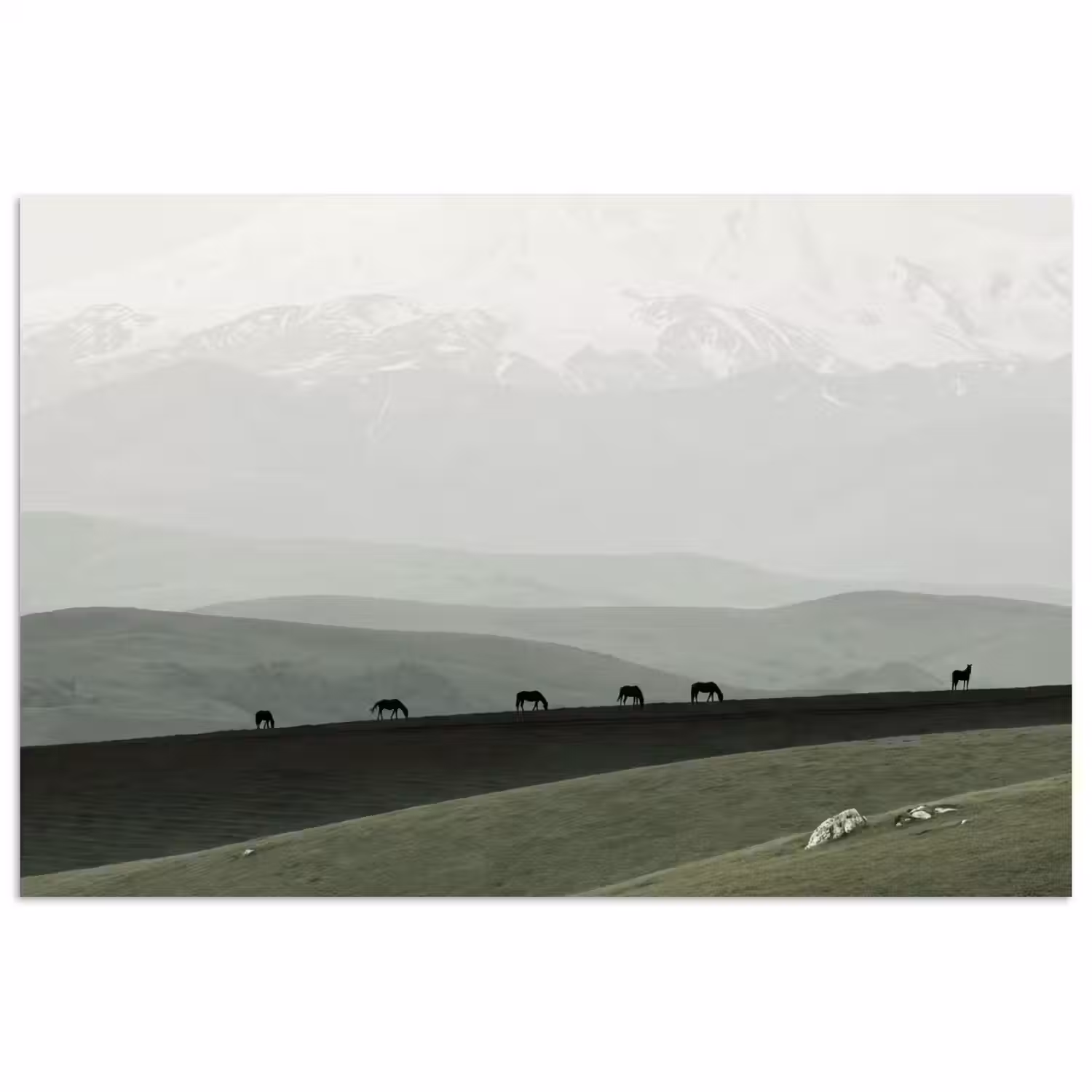 Grijs - Berg - Paarden poster papier klein -3d