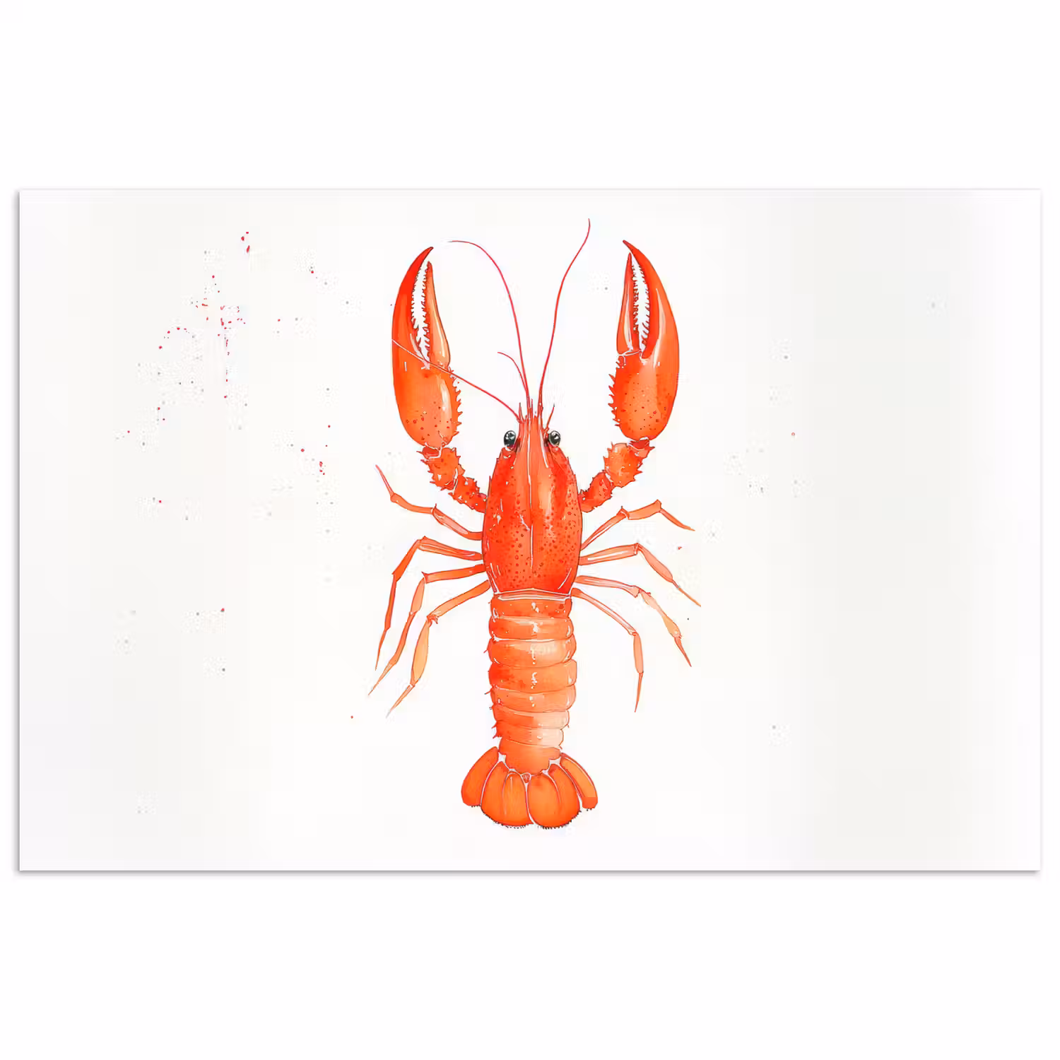 Kreeft - Waterverf - Aquarel - Oranje poster papier klein -3d