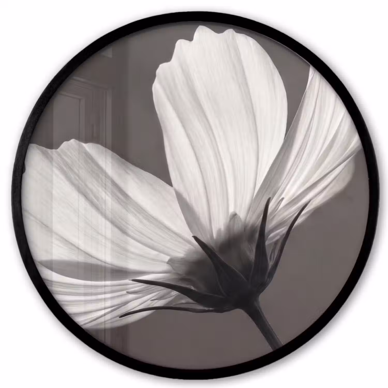 Bloem - Minimalistisch - Zwart - Wit Fotolijst rond zonder passe partout klein -3d