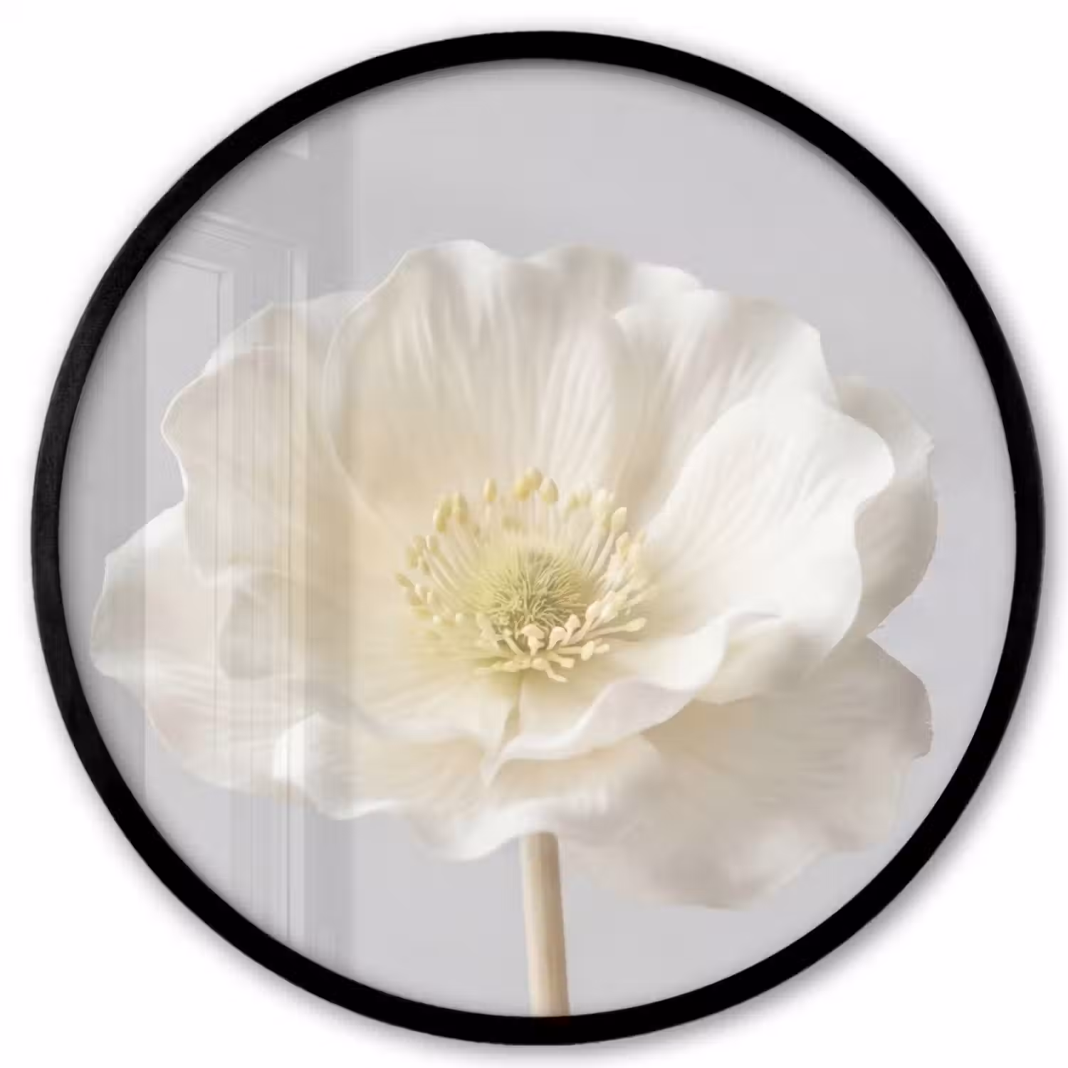 Bloem - Minimalistisch -Wit Fotolijst rond zonder passe partout klein -3d