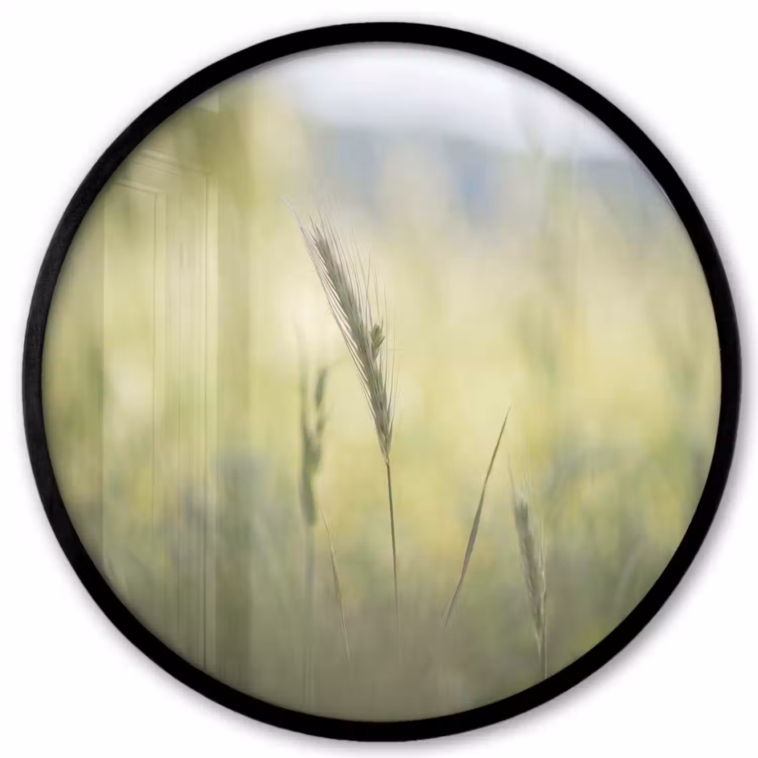Graan - Aar - Natuur - Groen - Detail Fotolijst rond zonder passe partout klein -3d