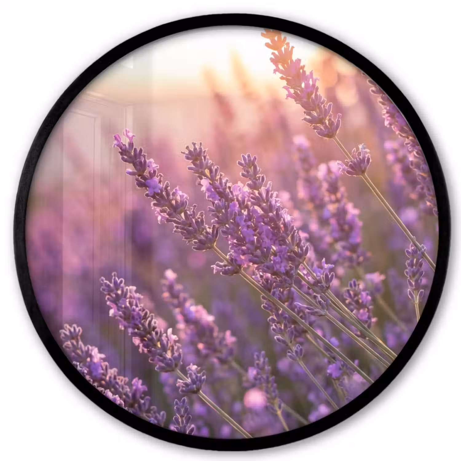 Lavendel - Paars - Zonlicht Fotolijst rond zonder passe partout klein -3d