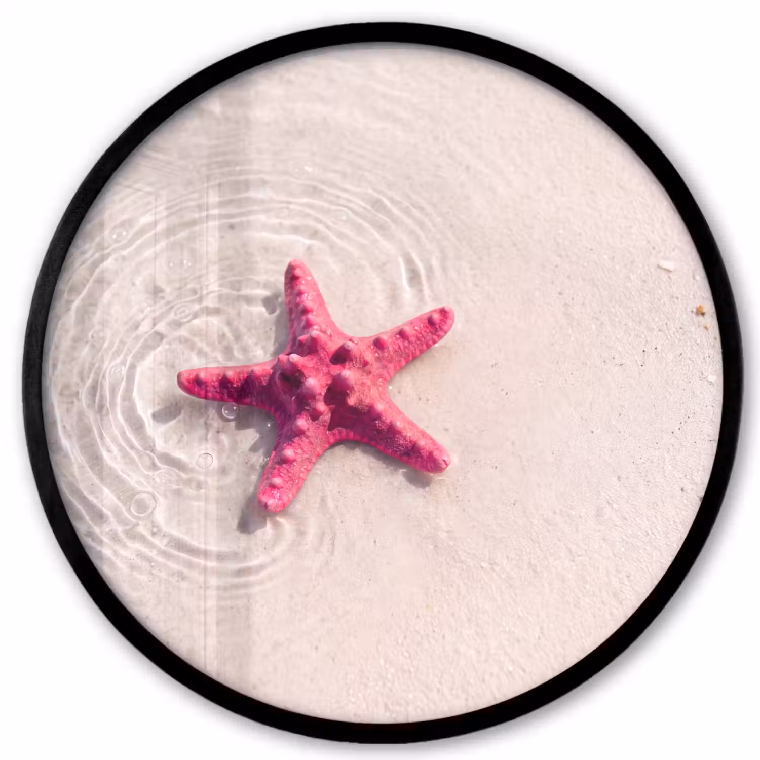 Zeeleven - Zeester - Strand - Roze - Water Fotolijst rond zonder passe partout klein -3d