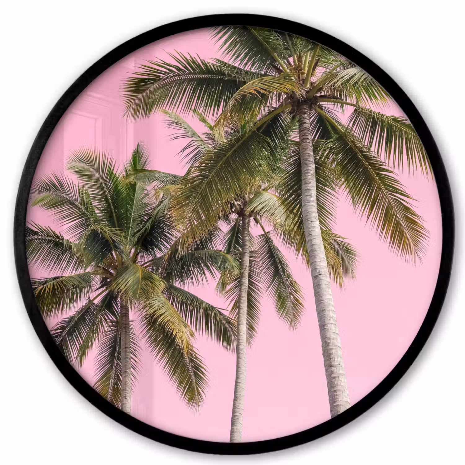 Palmboom - Tropisch - Pink Fotolijst rond zonder passe partout klein -3d