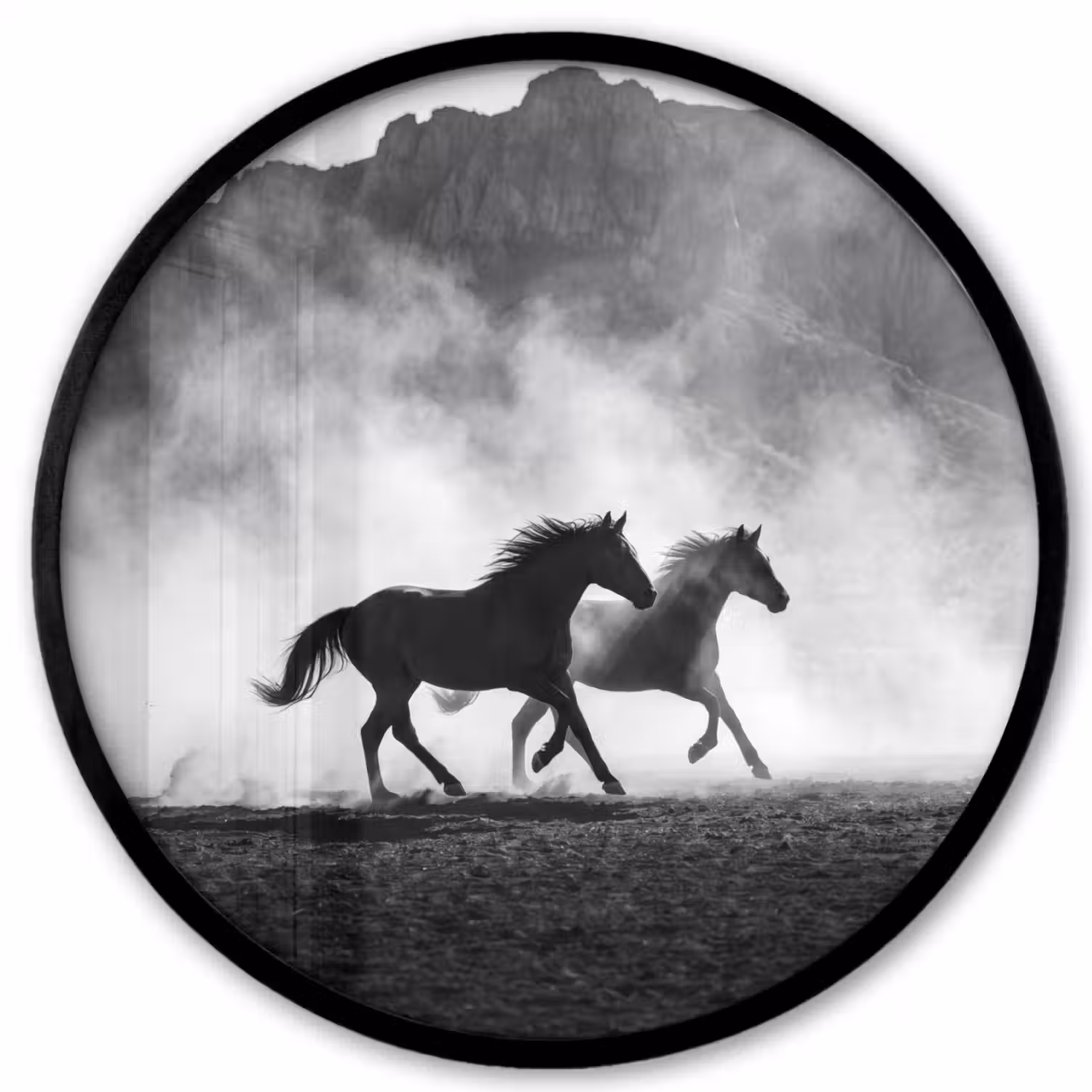 Paard - Ren - Stof - Zwart-wit - Dieren Fotolijst rond zonder passe partout klein -3d
