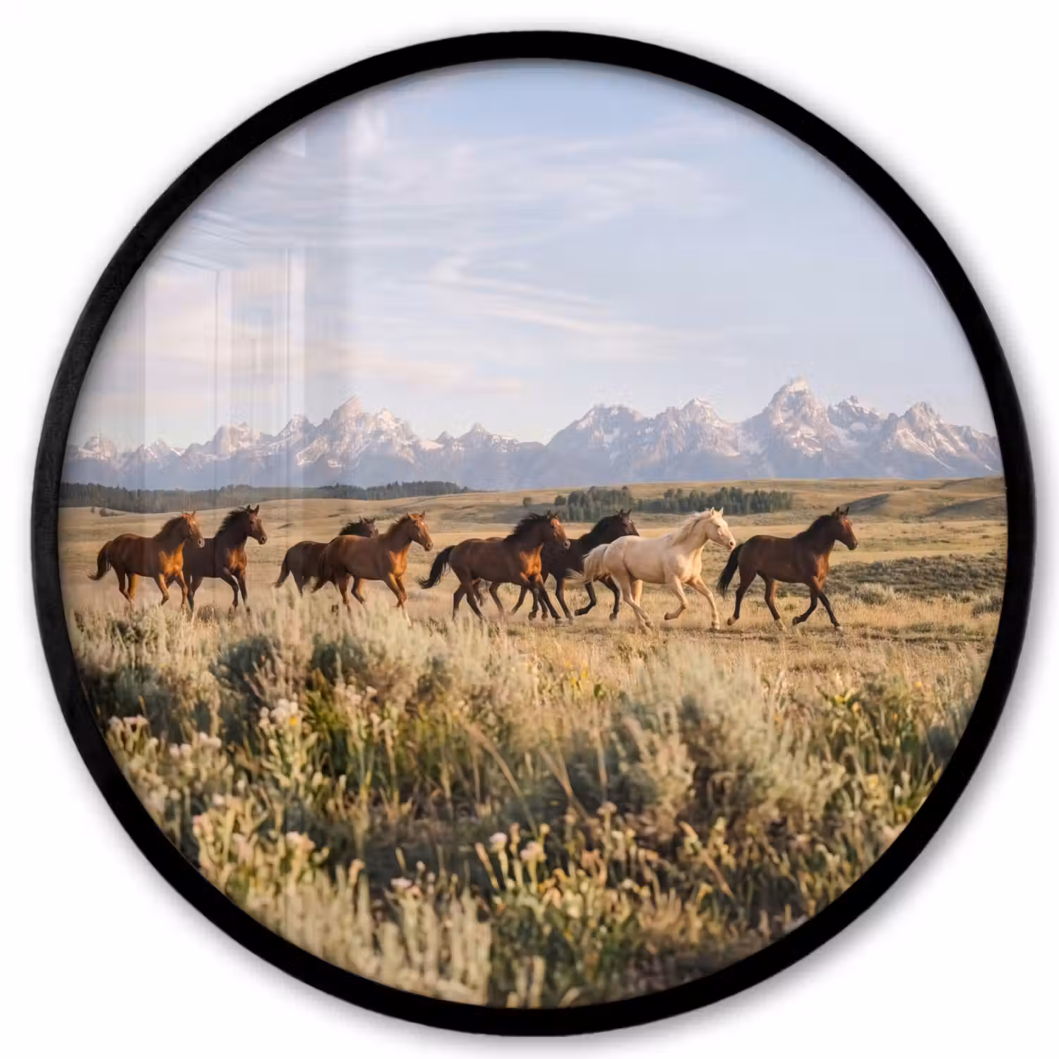 Paarden - Kudde - Bergen - Vrijheid - Wild Fotolijst rond zonder passe partout klein -3d