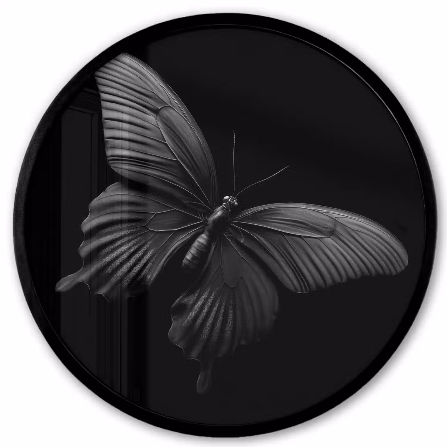 Vlinder - Zwart - Insect - Dieren Fotolijst rond zonder passe partout klein -3d