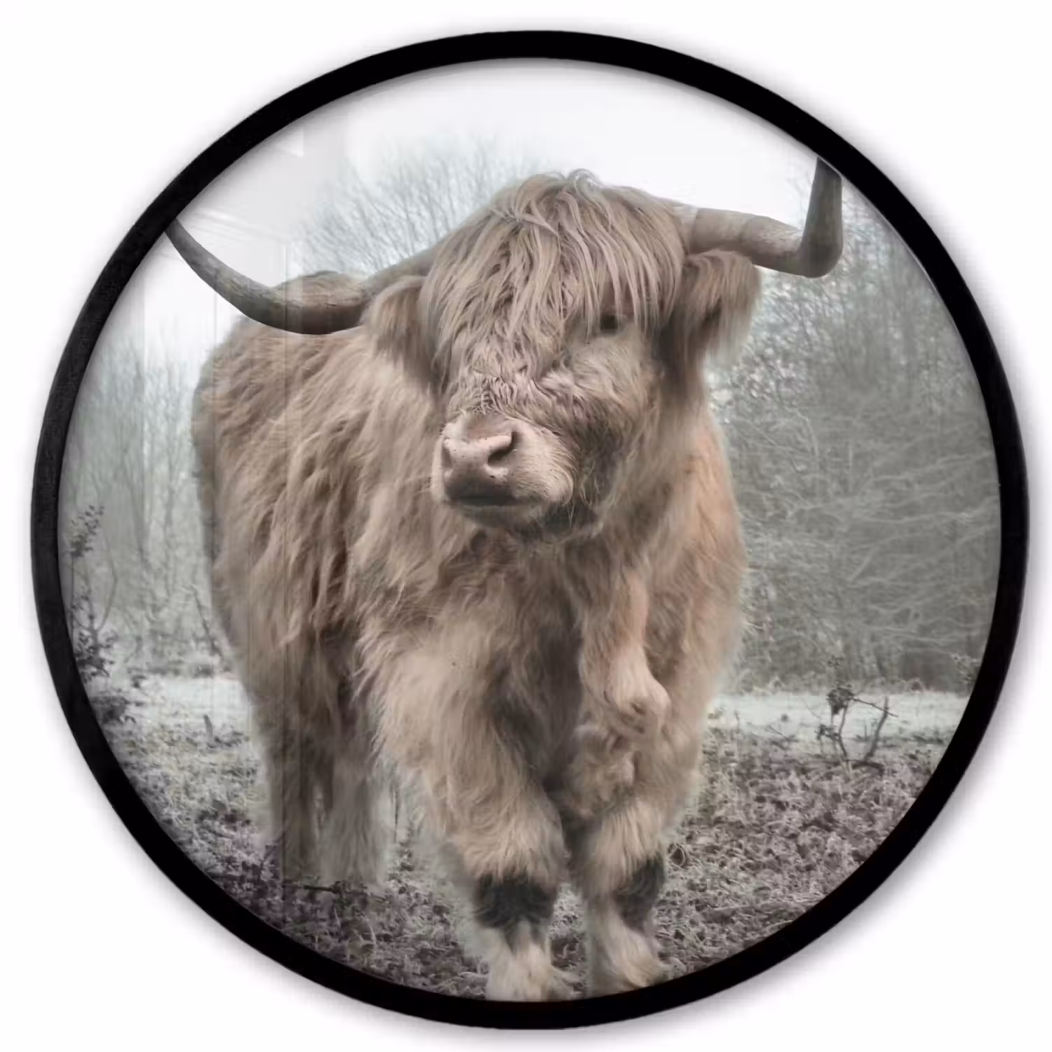 Schotse hooglander - Natuur - Herfst - Dieren - Wild - Bos Fotolijst rond zonder passe partout klein -3d
