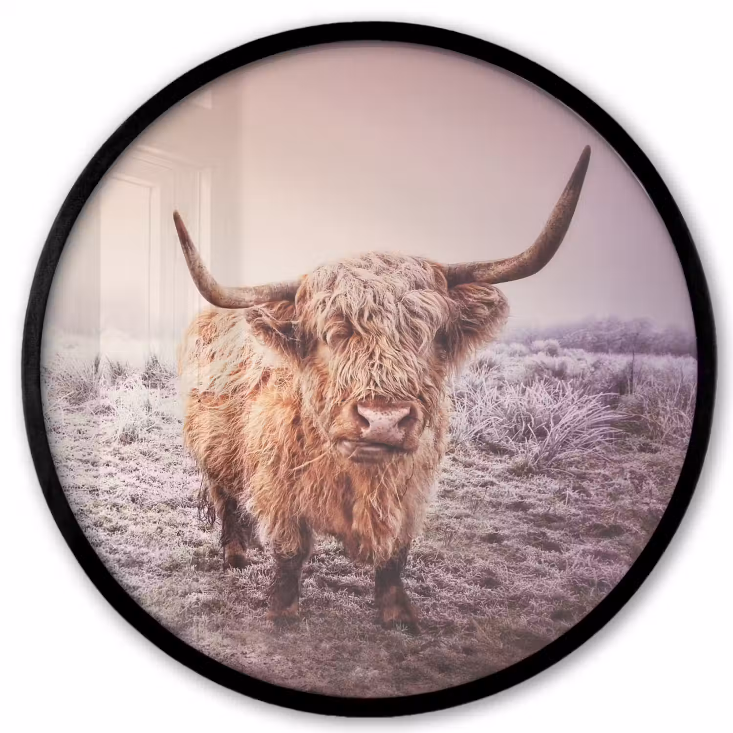 Schotse hooglanders - Licht - Lucht - Natuur Fotolijst rond zonder passe partout klein -3d