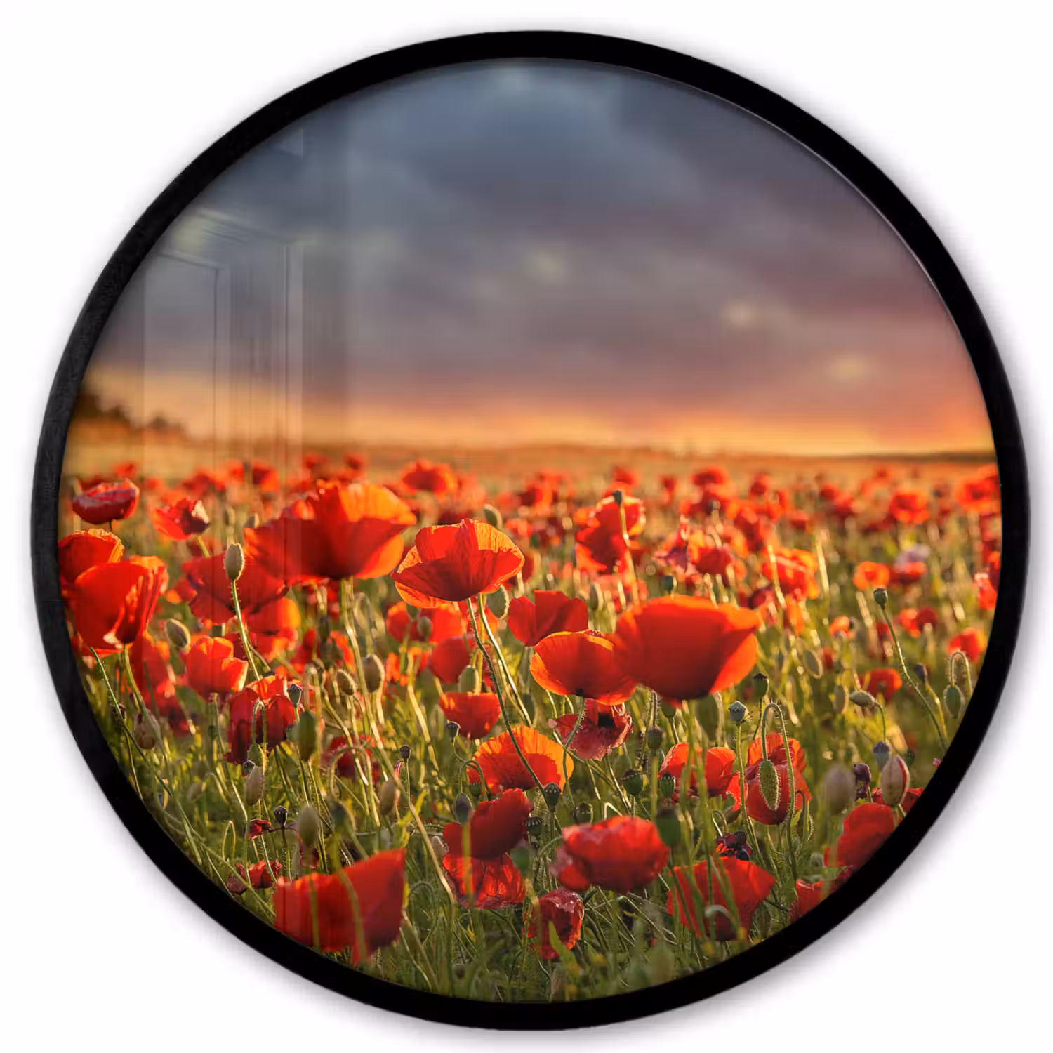Zonsondergang - Klaprozen - Rood - Bloemen - Veld - Natuur Fotolijst rond zonder passe partout klein -3d