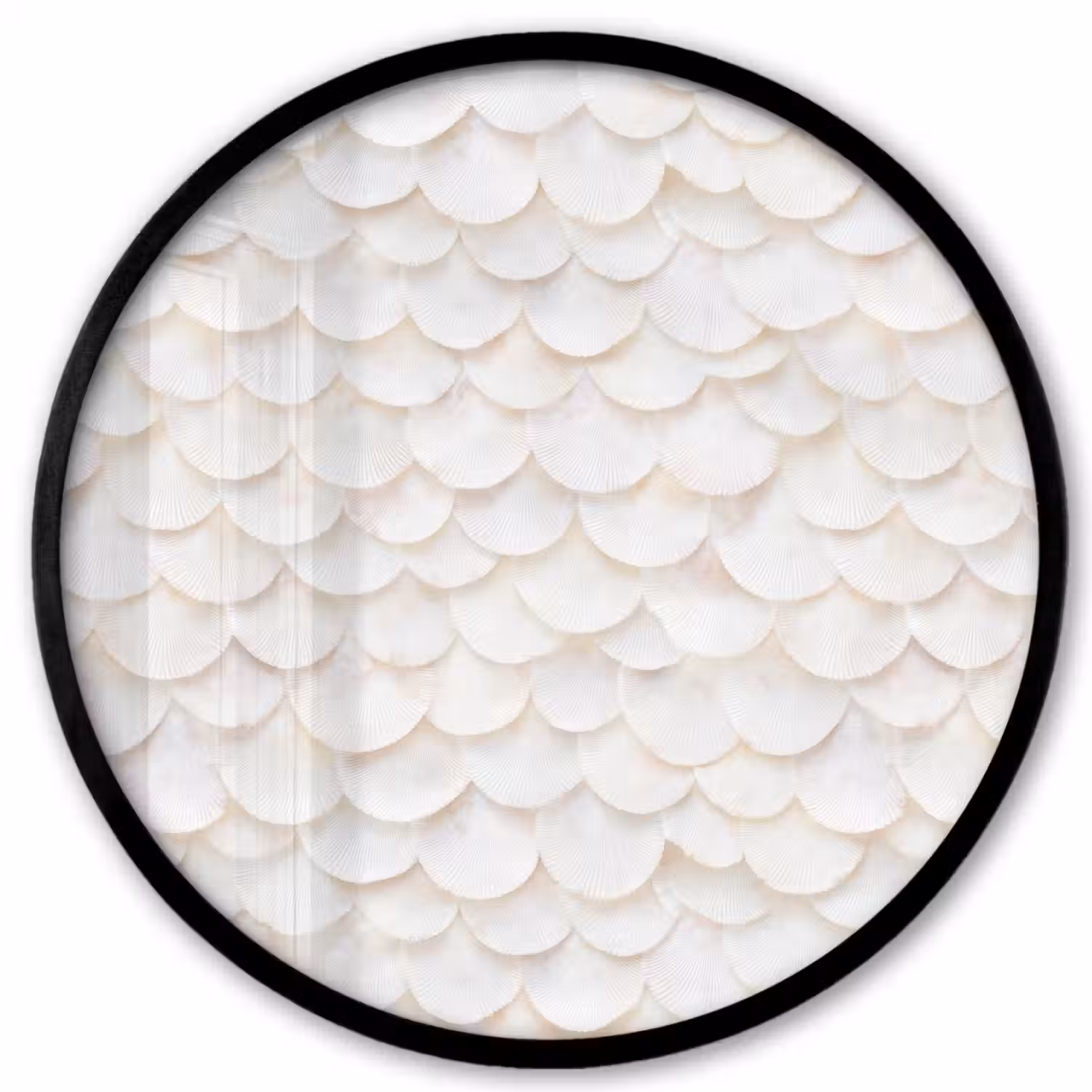 Schubben - Wit - Elegant Fotolijst rond zonder passe partout klein 856 -3d