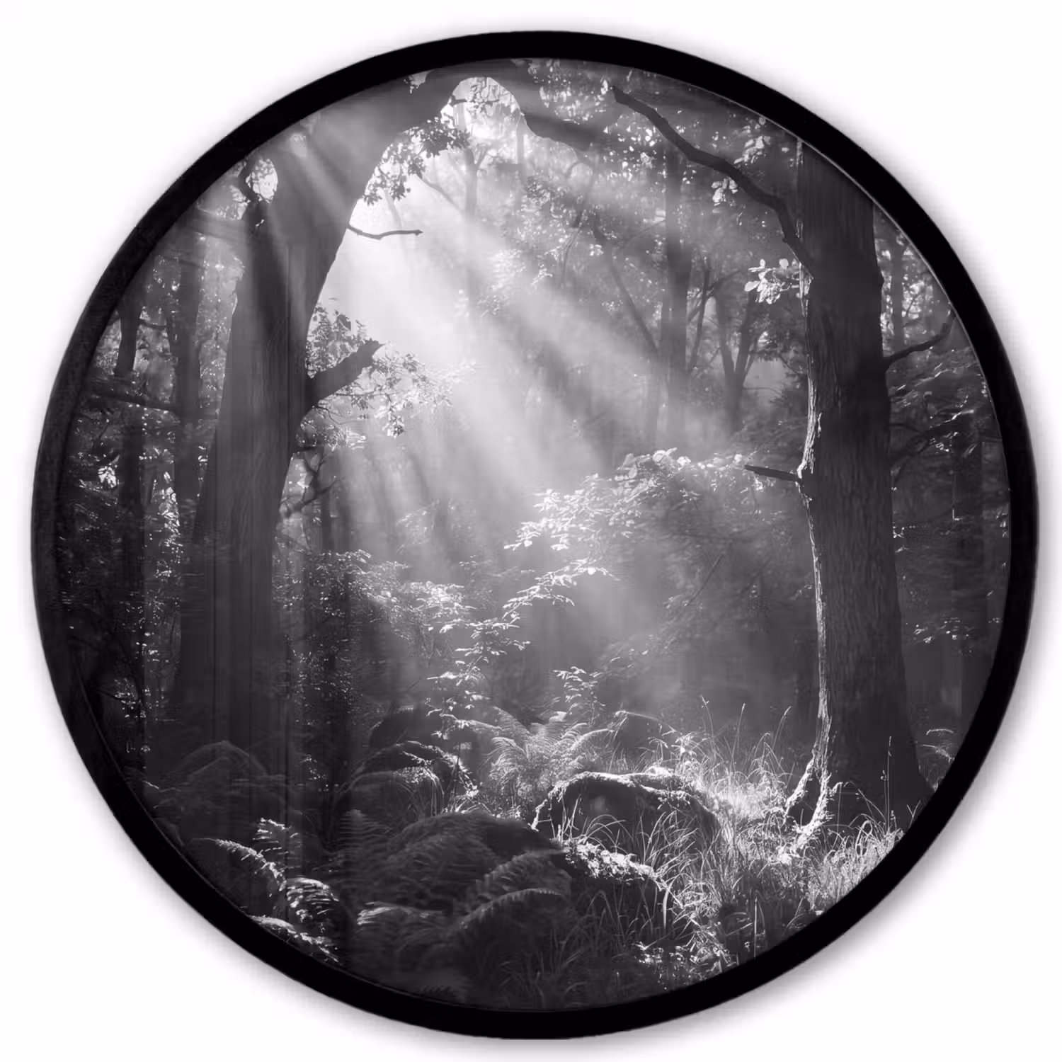 Bos - Lichtstralen - Natuur - Zwart-wit Fotolijst rond zonder passe partout klein -3d
