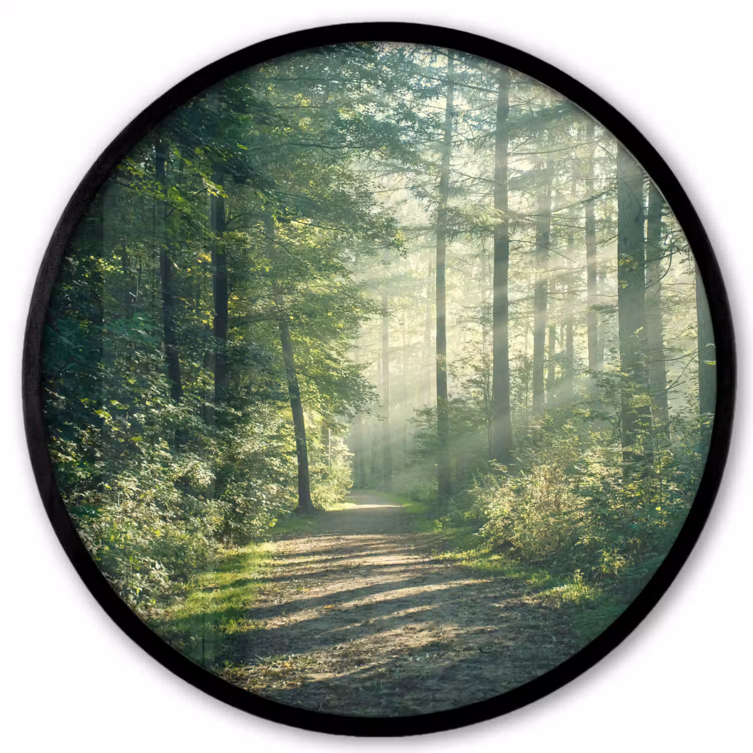 Bos - Pad - Zon - Bomen - Groen - Natuur Fotolijst rond zonder passe partout klein -3d