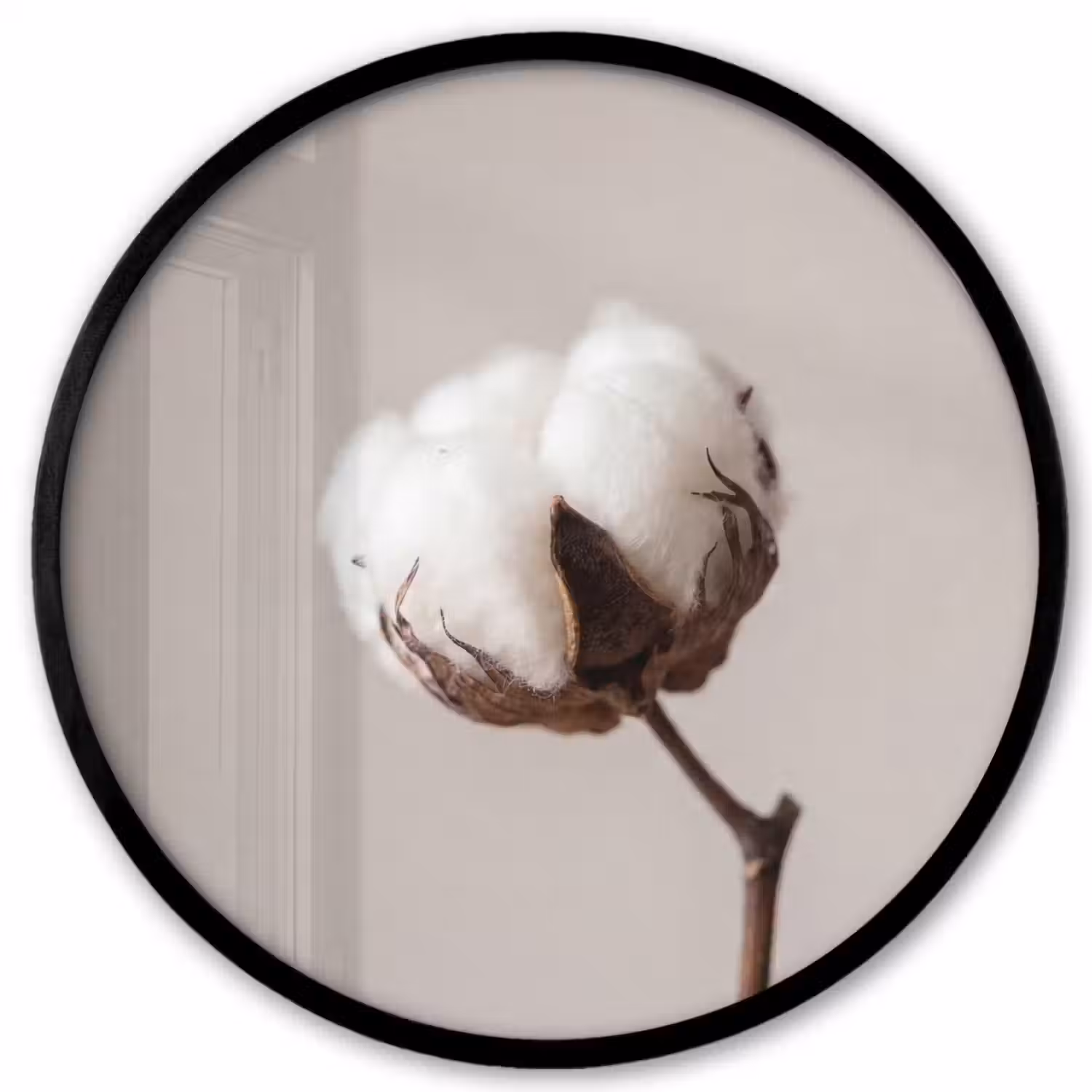 Katoenbol - Minimalistisch - Wit Fotolijst rond zonder passe partout klein -3d