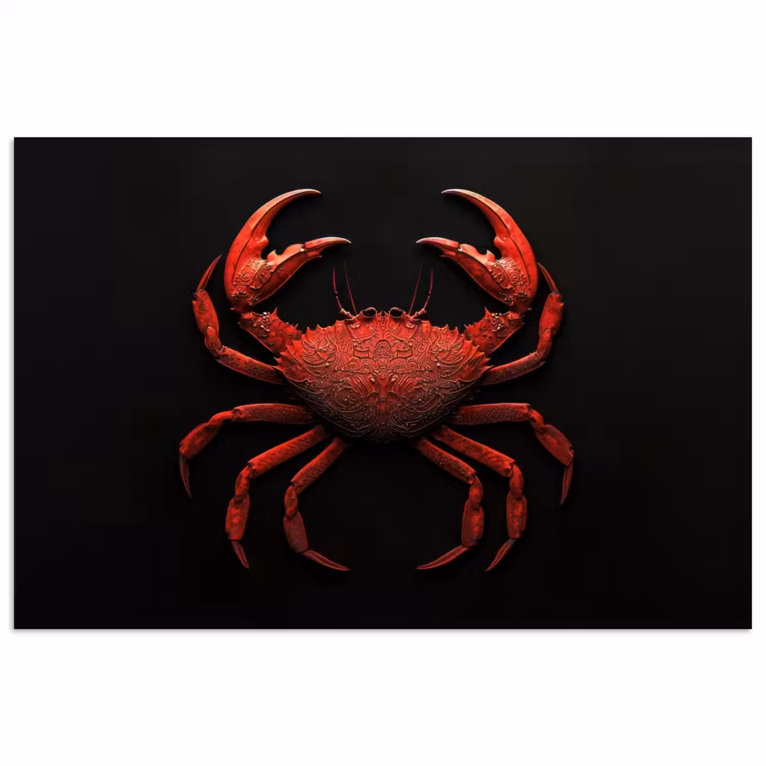 Krab - Rood - Vissen - Schaaldieren poster papier klein -3d