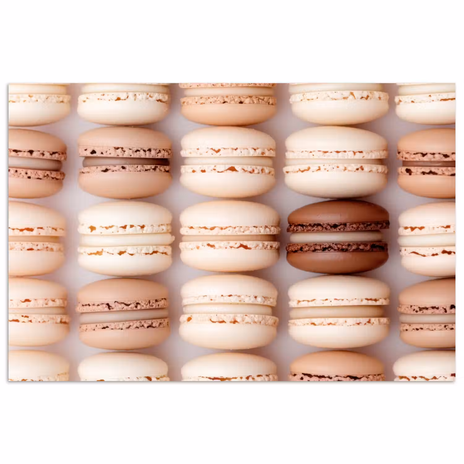 Macarons - Beige - Bruin poster papier klein -3d