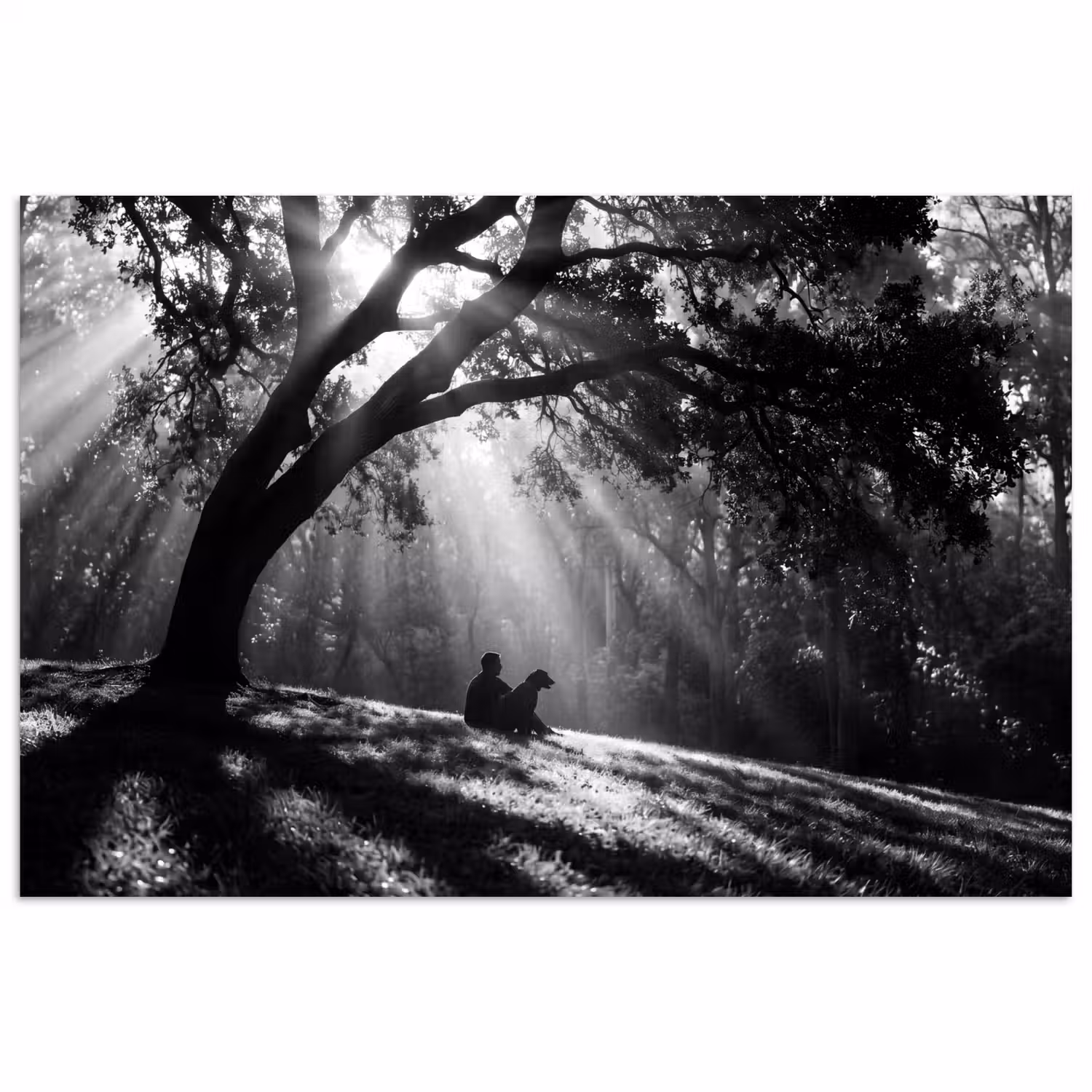 Mens - Hond - Natuur - Zwart-wit - Silhouet poster papier klein -3d