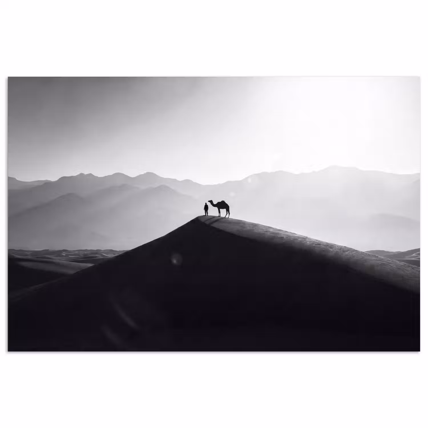 Mens - Kameel - Zandduin - Natuur - Monochroom poster papier klein -3d