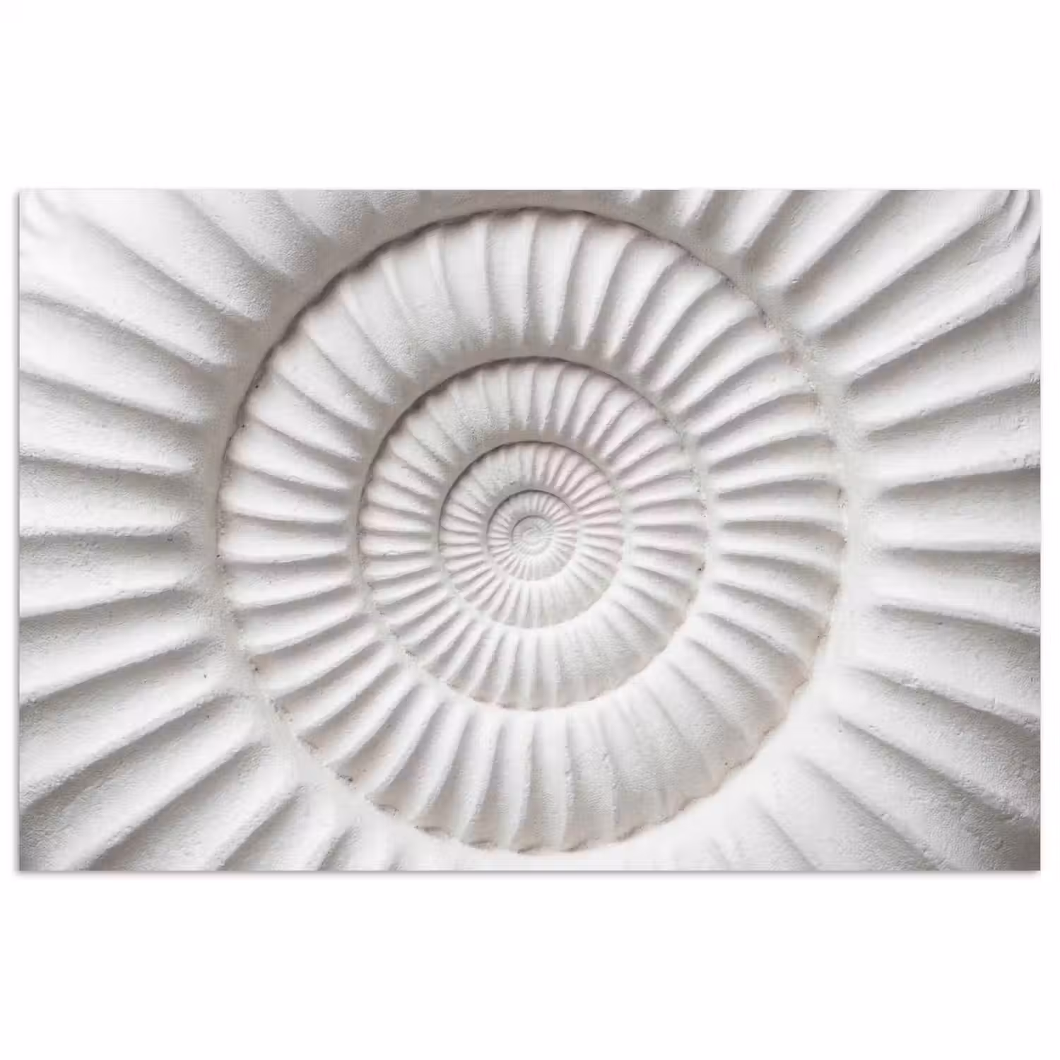 Schelp - Spiraal - Wit poster papier klein -3d