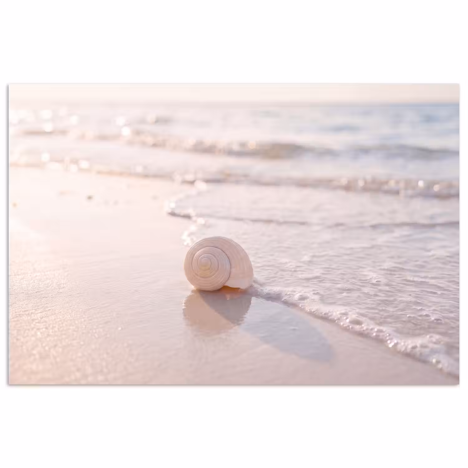 Zeeschelp - Strand - Zee - Natuur - Beige poster papier klein -3d