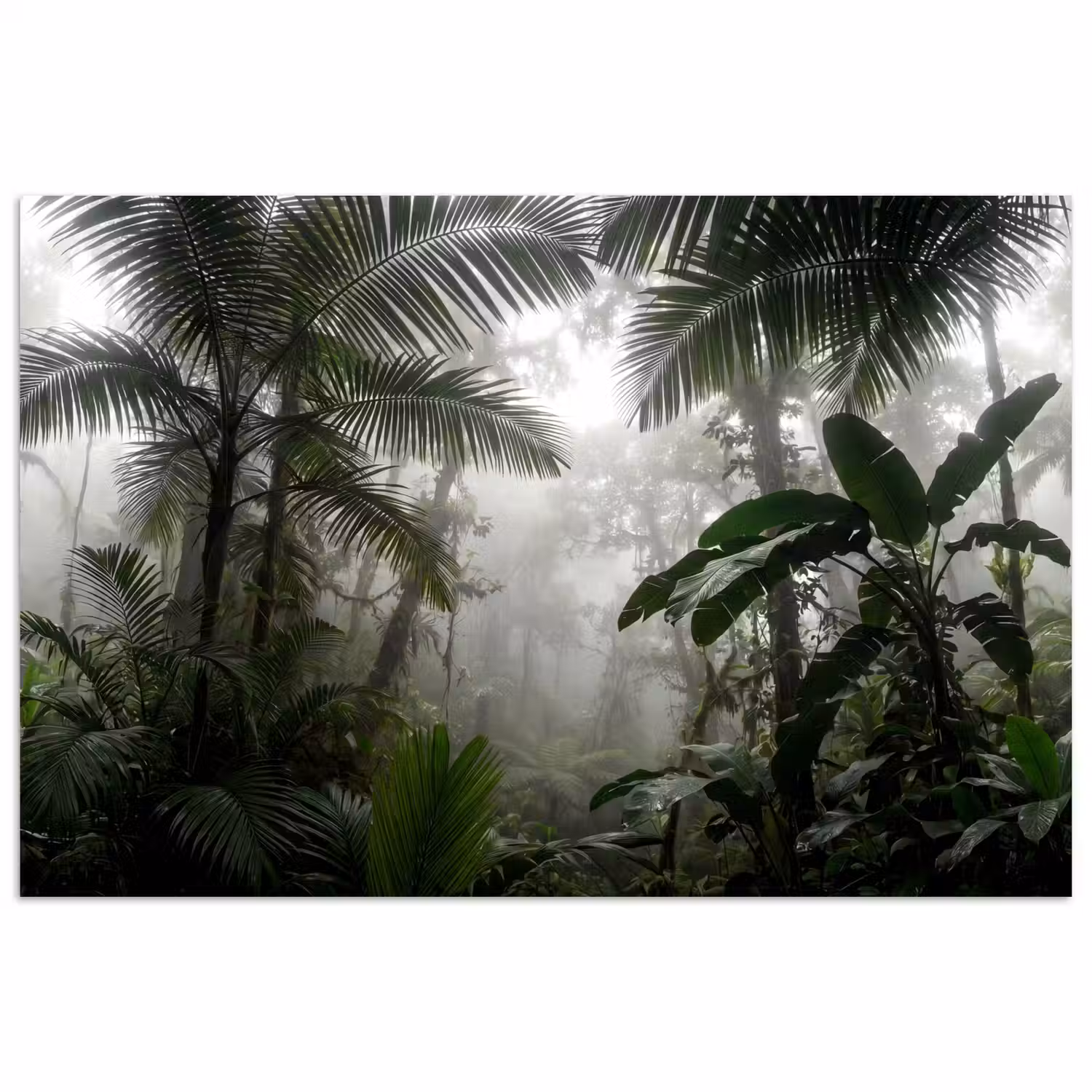 Natuur - Jungle - Mist - Groen - Bladeren poster papier klein -3d