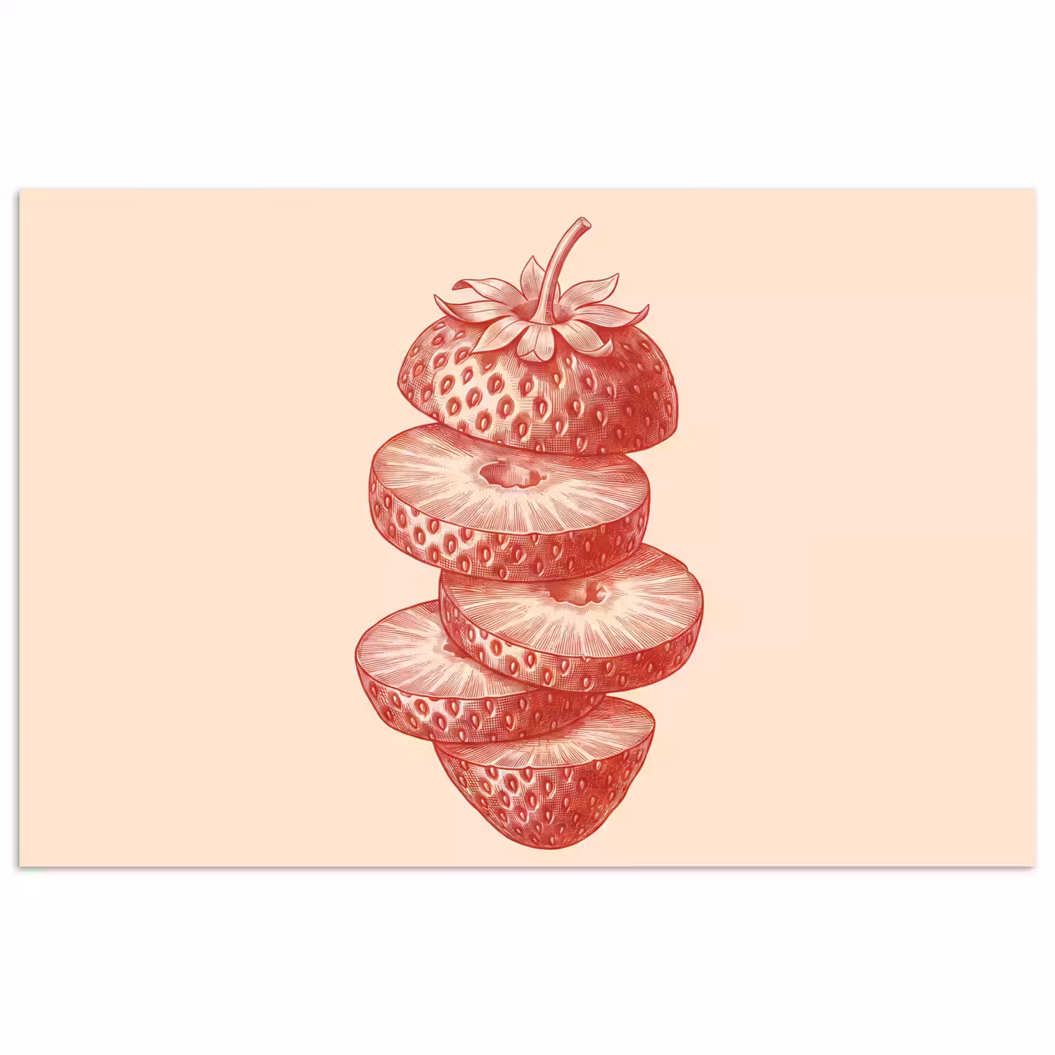 Fruit - Gesneden - Illustratie - Rood - Vintage poster papier klein -3d