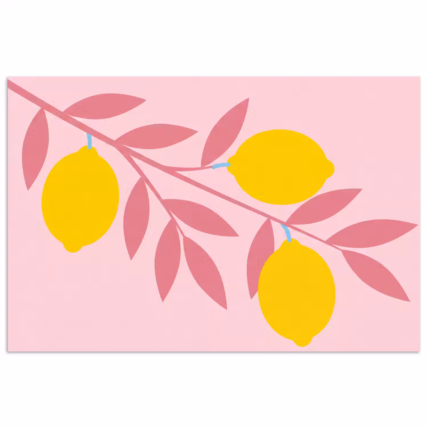 Fruit - Tak - Natuur - Abstract - Roze poster papier klein -3d