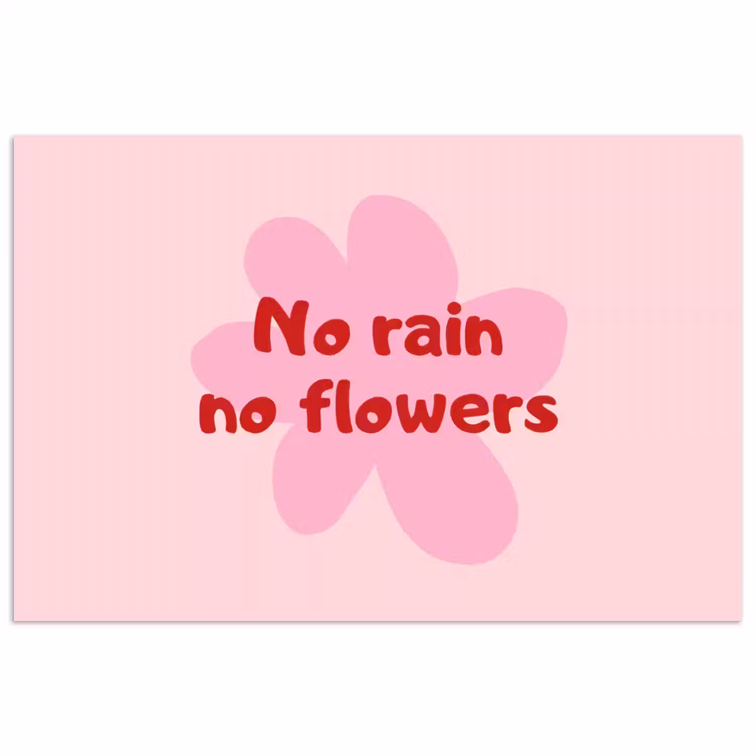 No rain no flowers - Bloem - Roze poster papier klein -3d