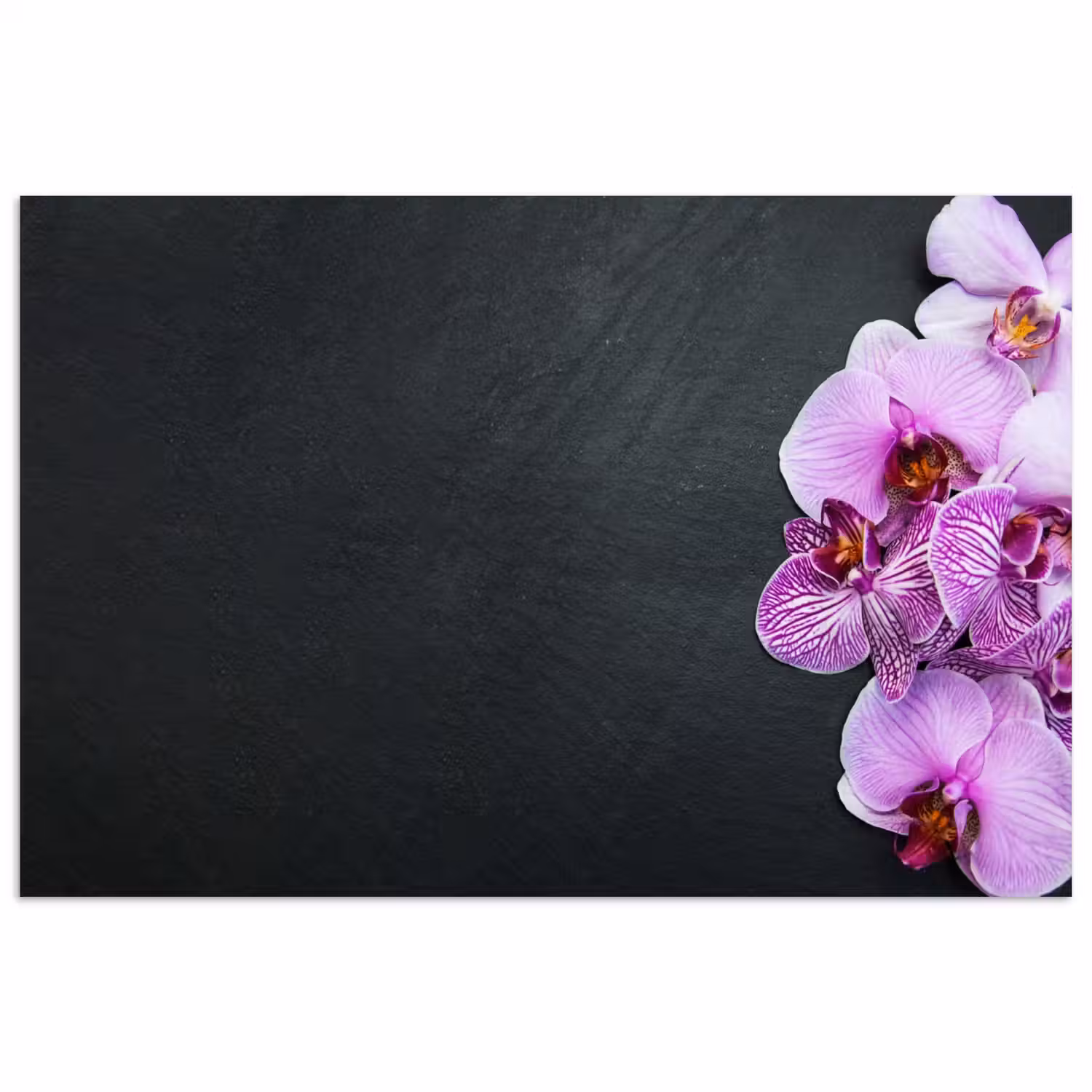 Orchidee - Bloemen - Roze - Flora poster papier klein -3d