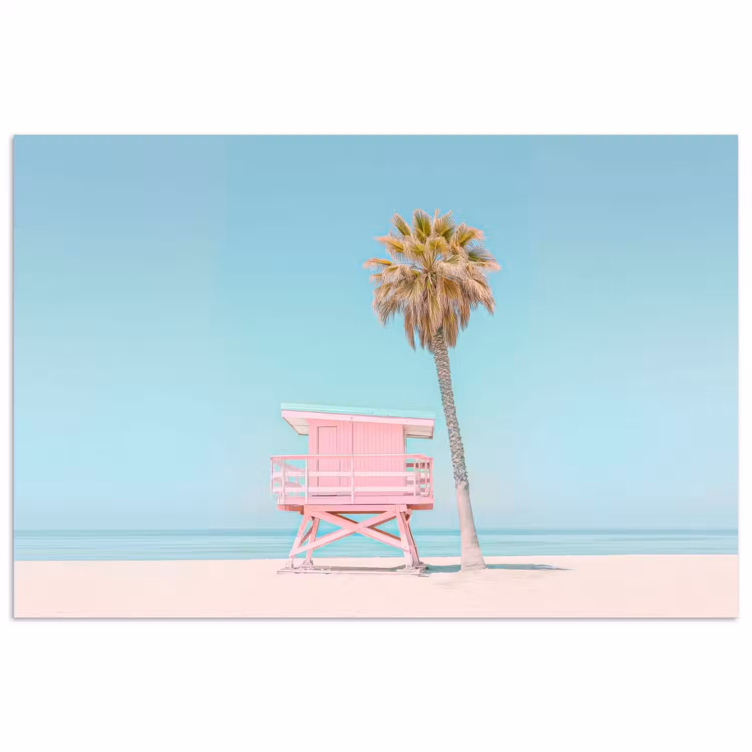Palmboom - Strandhuis - Roze poster papier klein -3d