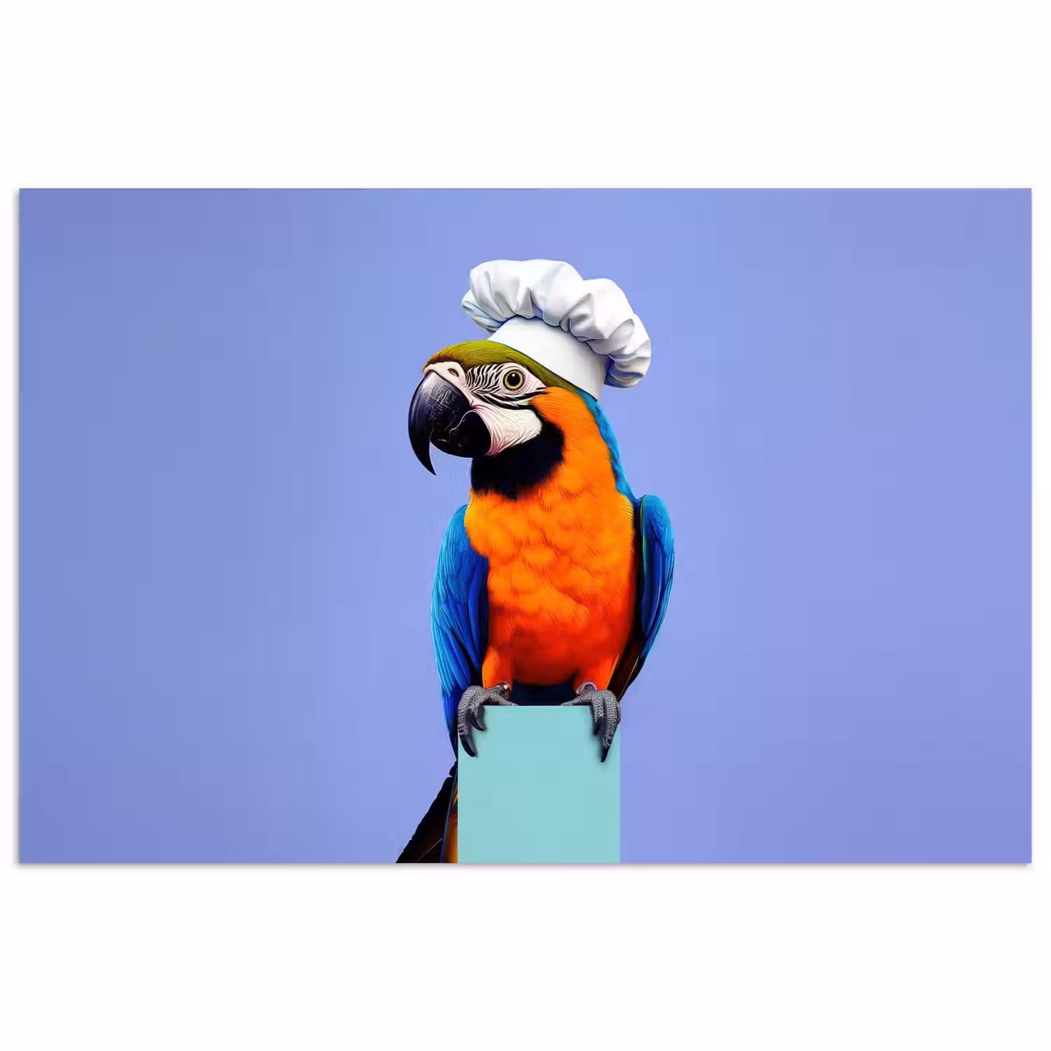 Papegaai - Koksmuts - Vogel - Leuk poster papier klein -3d