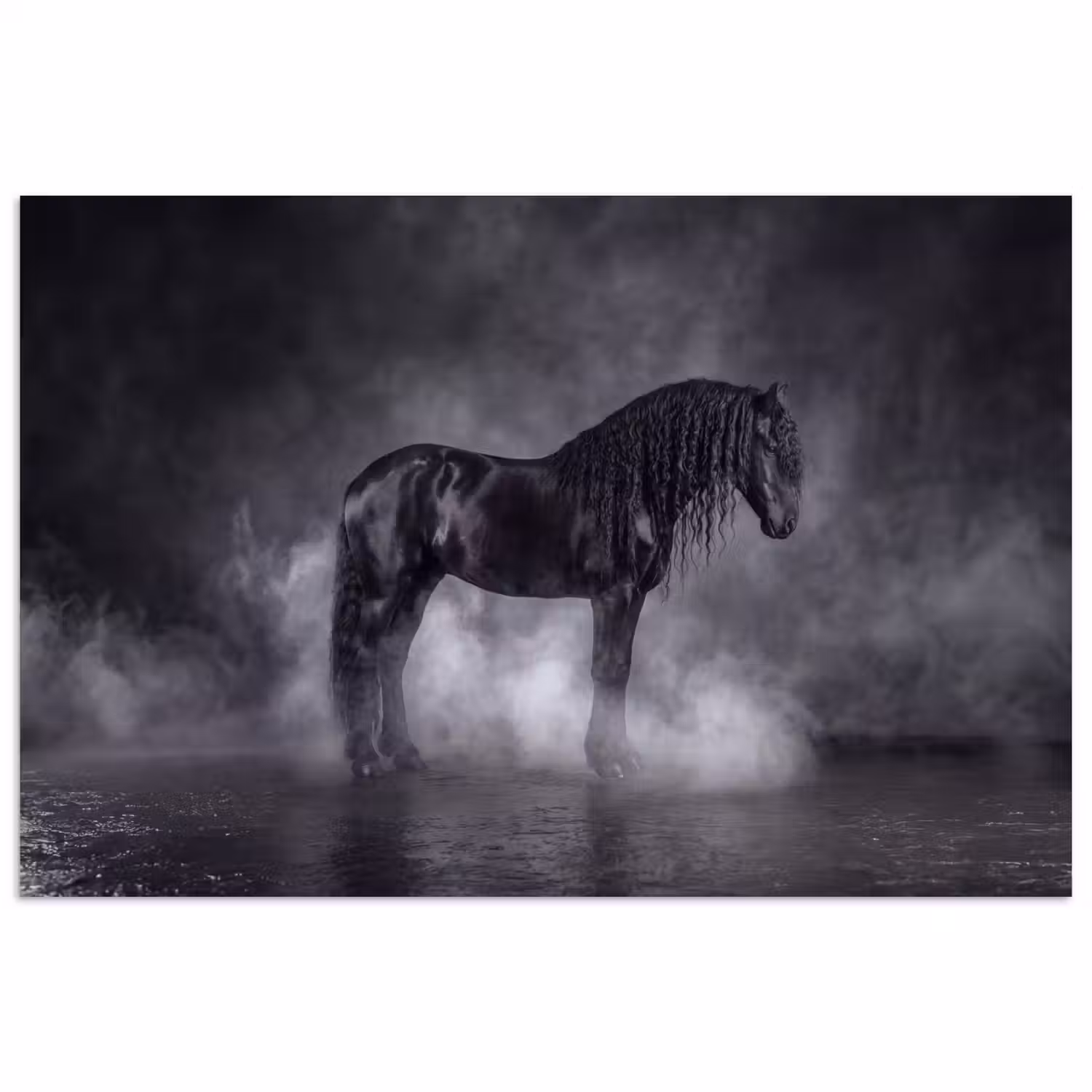 Paard - Magisch - Zwart poster papier klein -3d